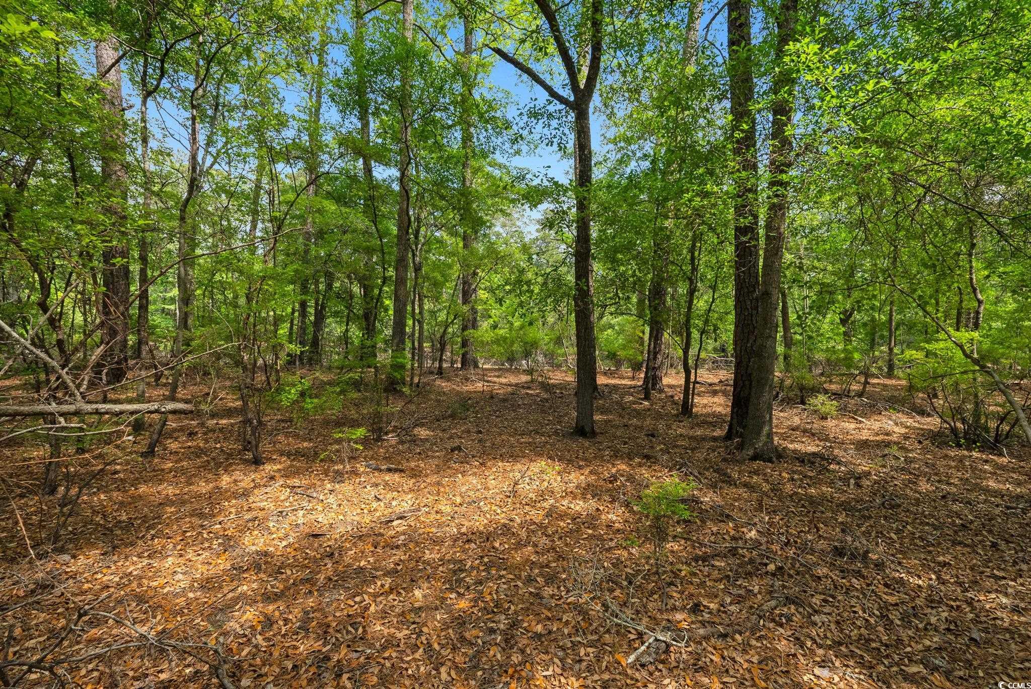 360 Cypress Flat Ct. Property Photo 21