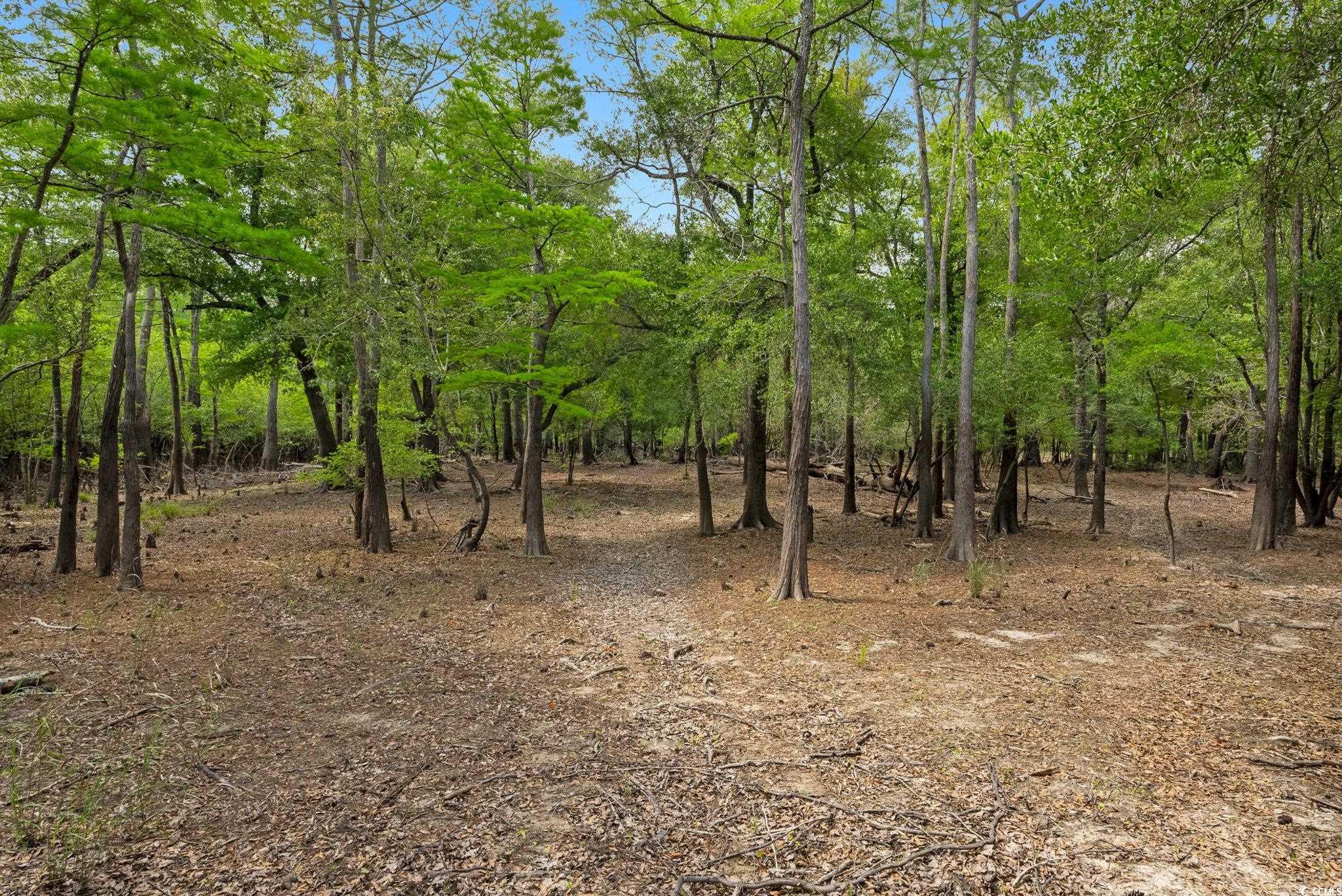 360 Cypress Flat Ct. Property Photo 26