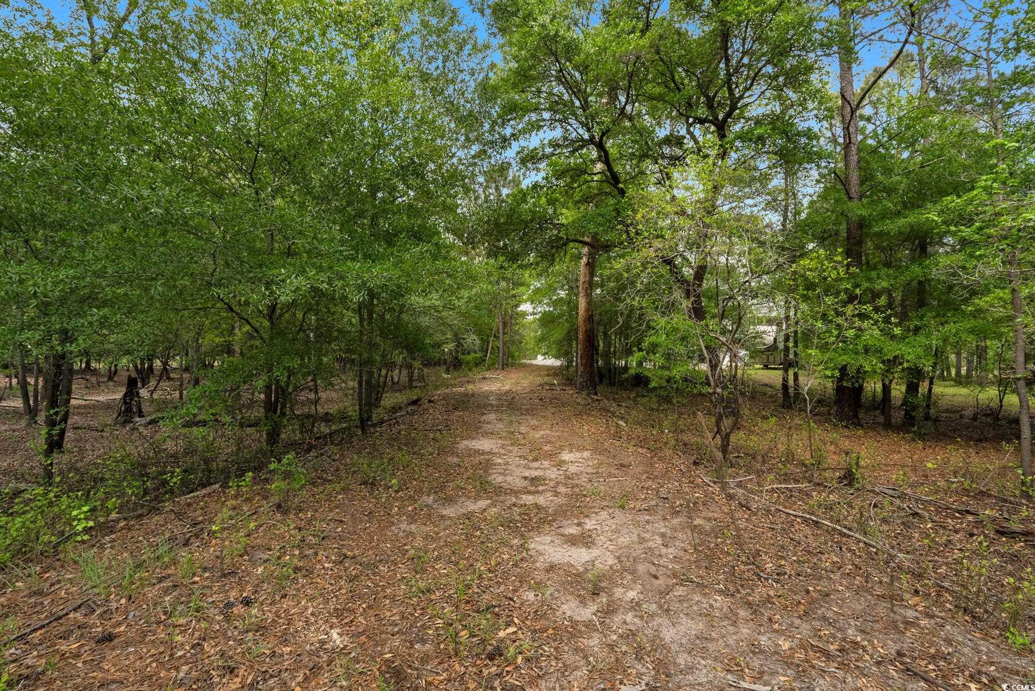 360 Cypress Flat Ct. Property Photo 27