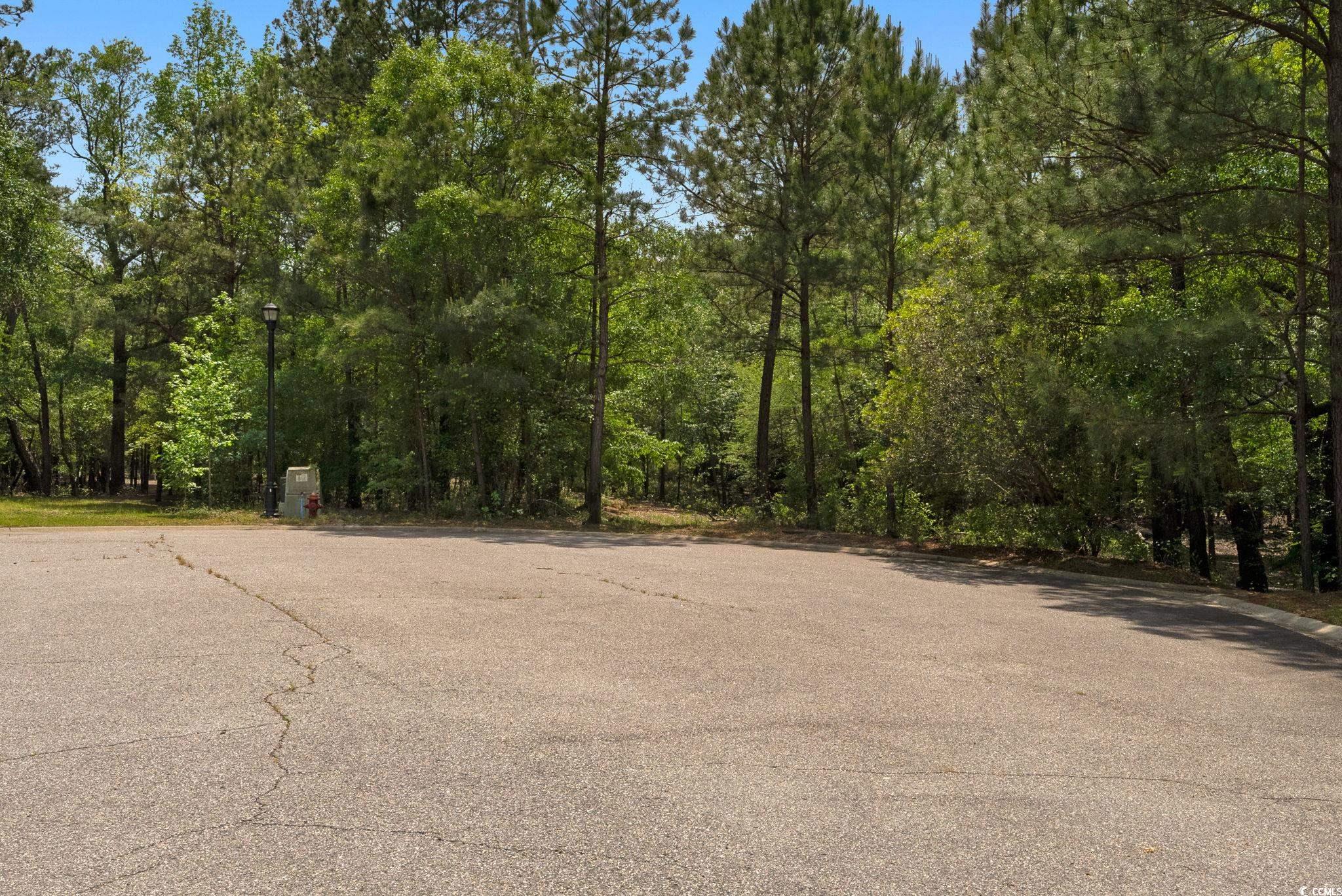 360 Cypress Flat Ct. Property Photo 28