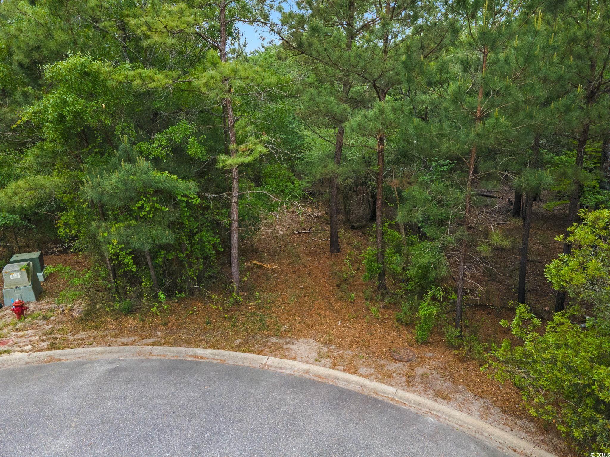 360 Cypress Flat Ct. Property Photo 30