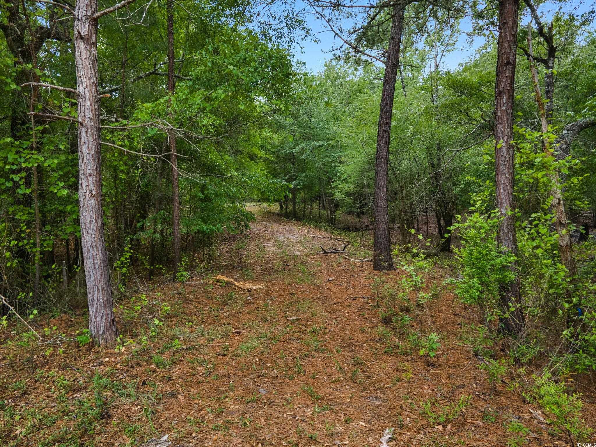 360 Cypress Flat Ct. Property Photo 32