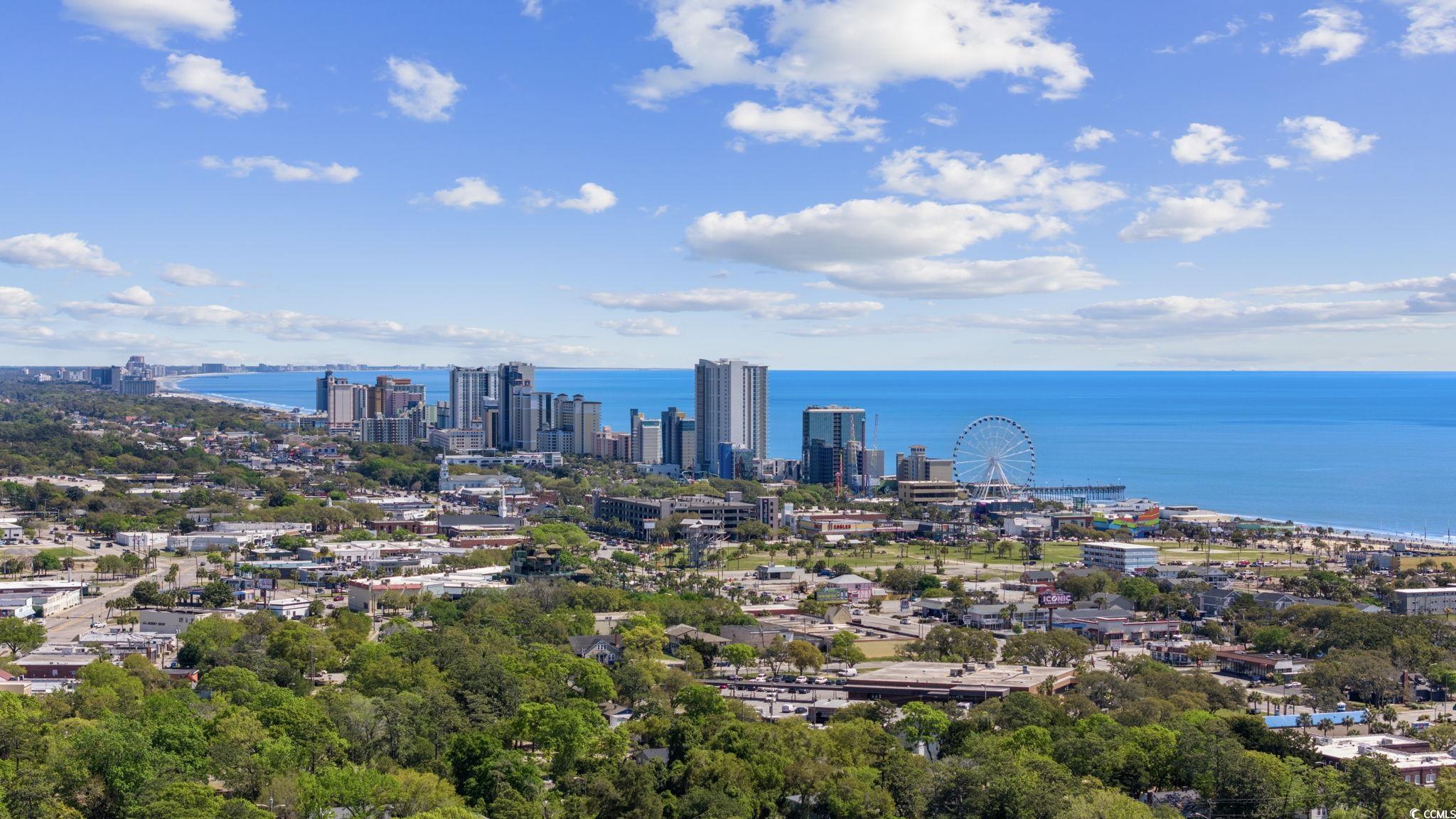 1315 Ashboro Ct. Property Photo 32