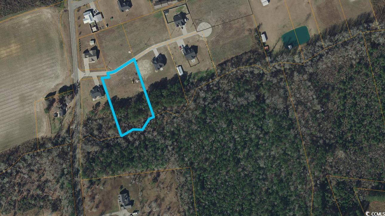 204 Shady Pines Ct. Property Photo 37
