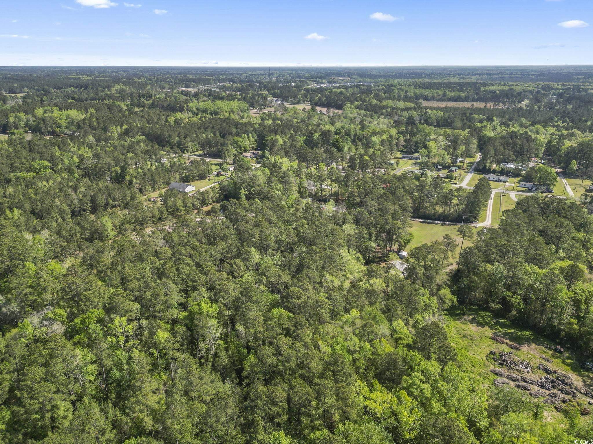 428 Bear Grass Rd. E Property Photo 7