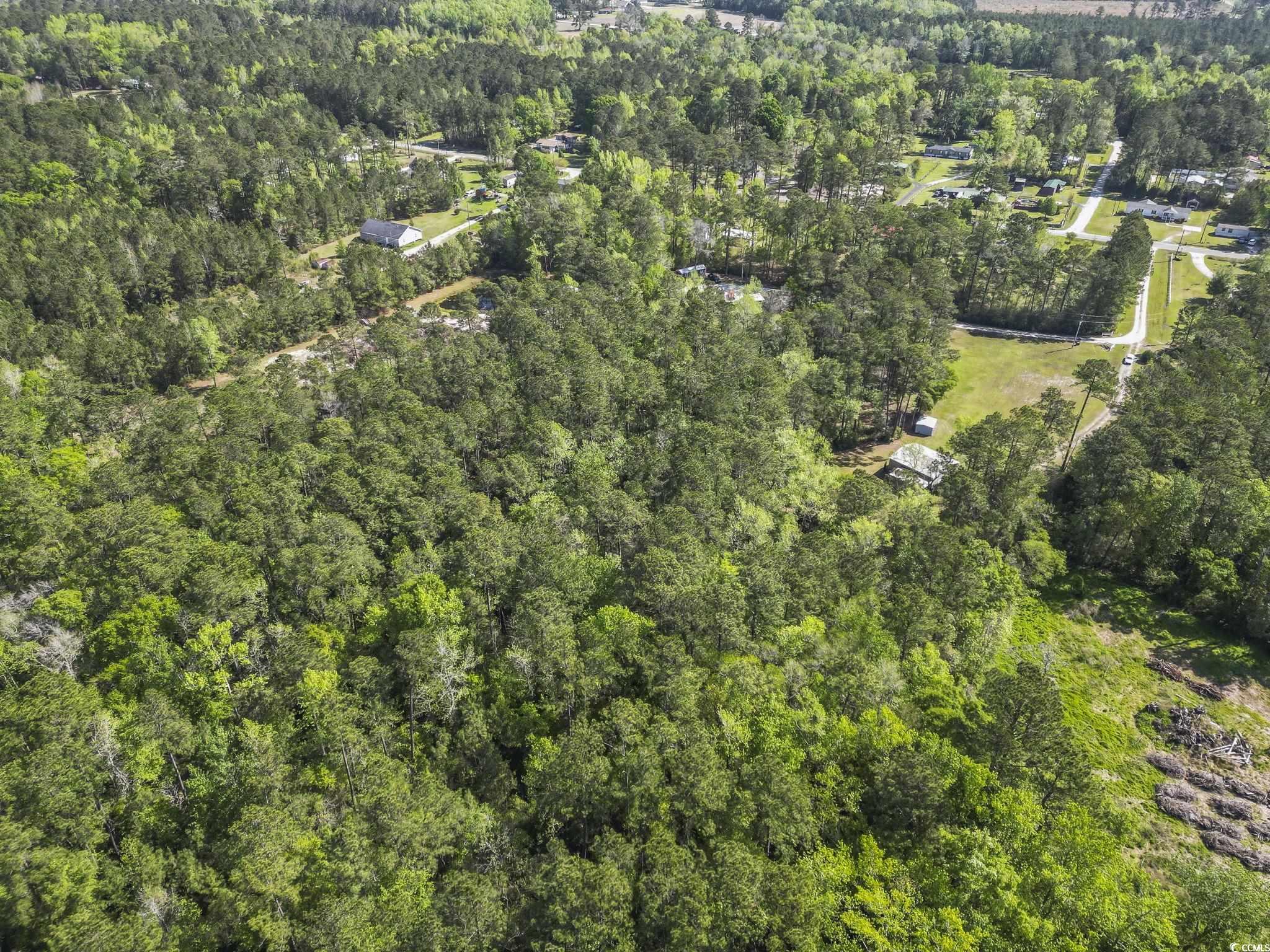 428 Bear Grass Rd. E Property Photo 8