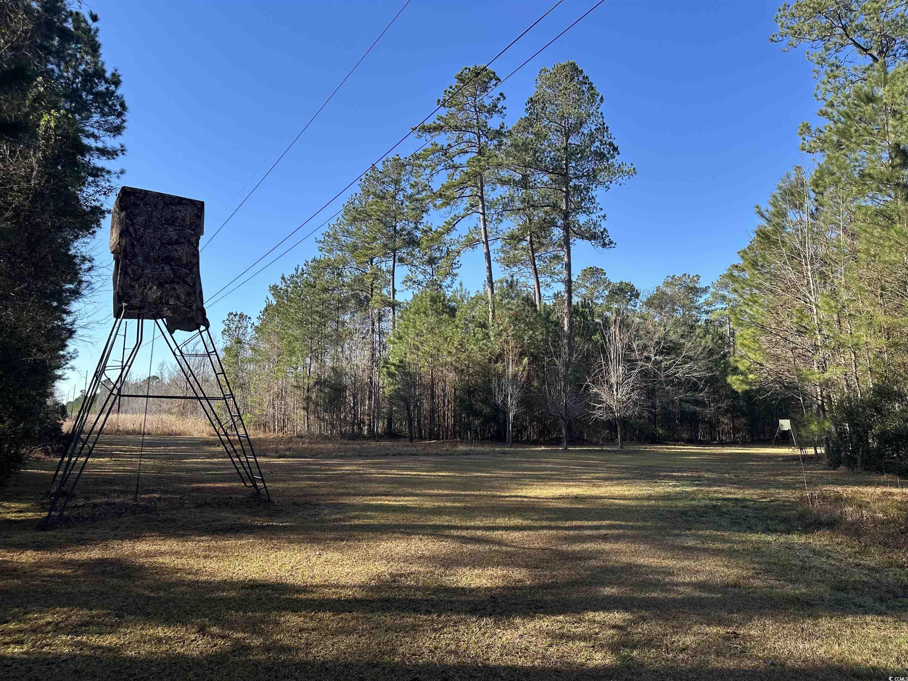 148 Acres-tbd Highway 521 Property Photo