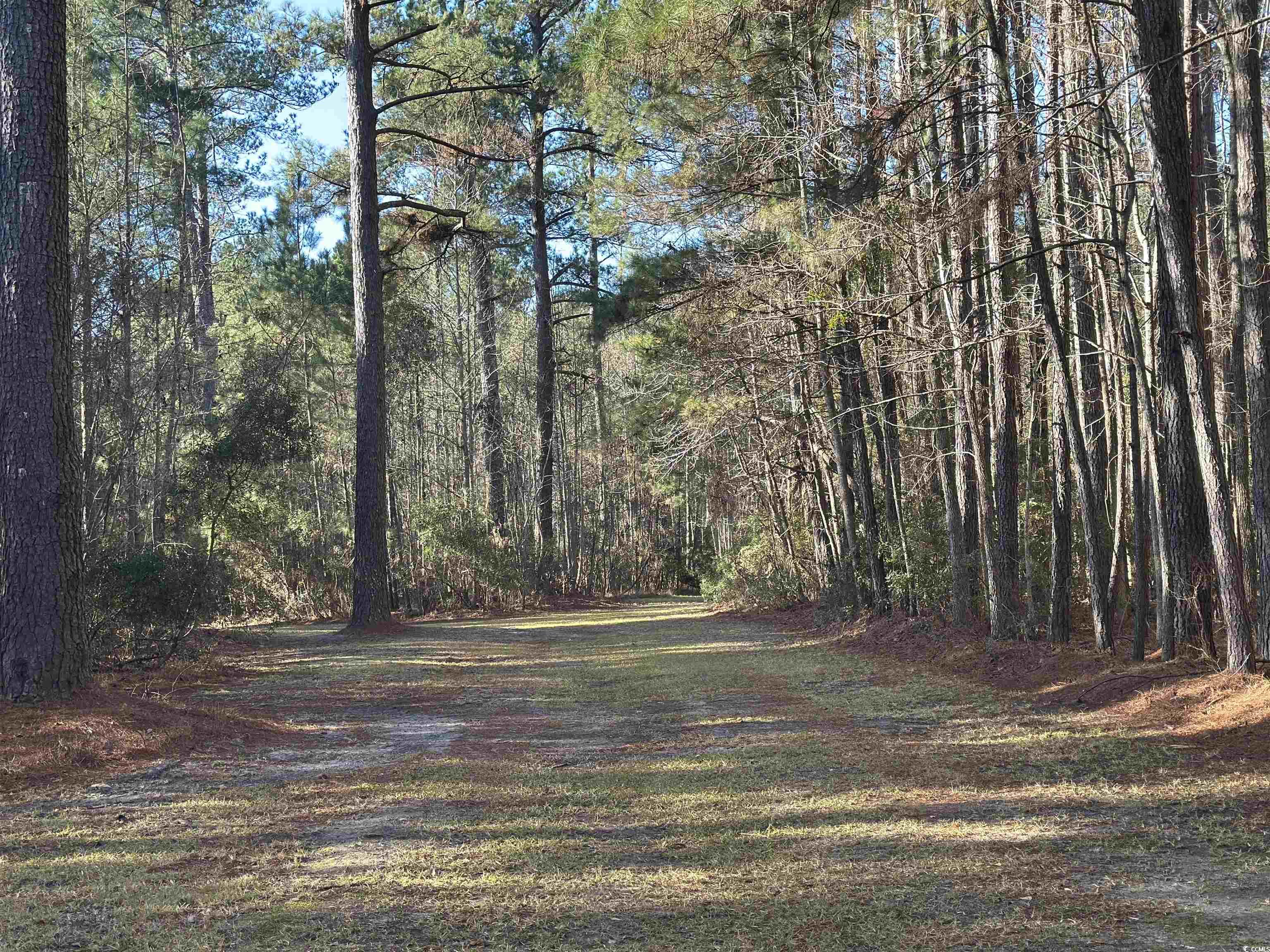 148 Acres-tbd Highway 521 Property Photo 2