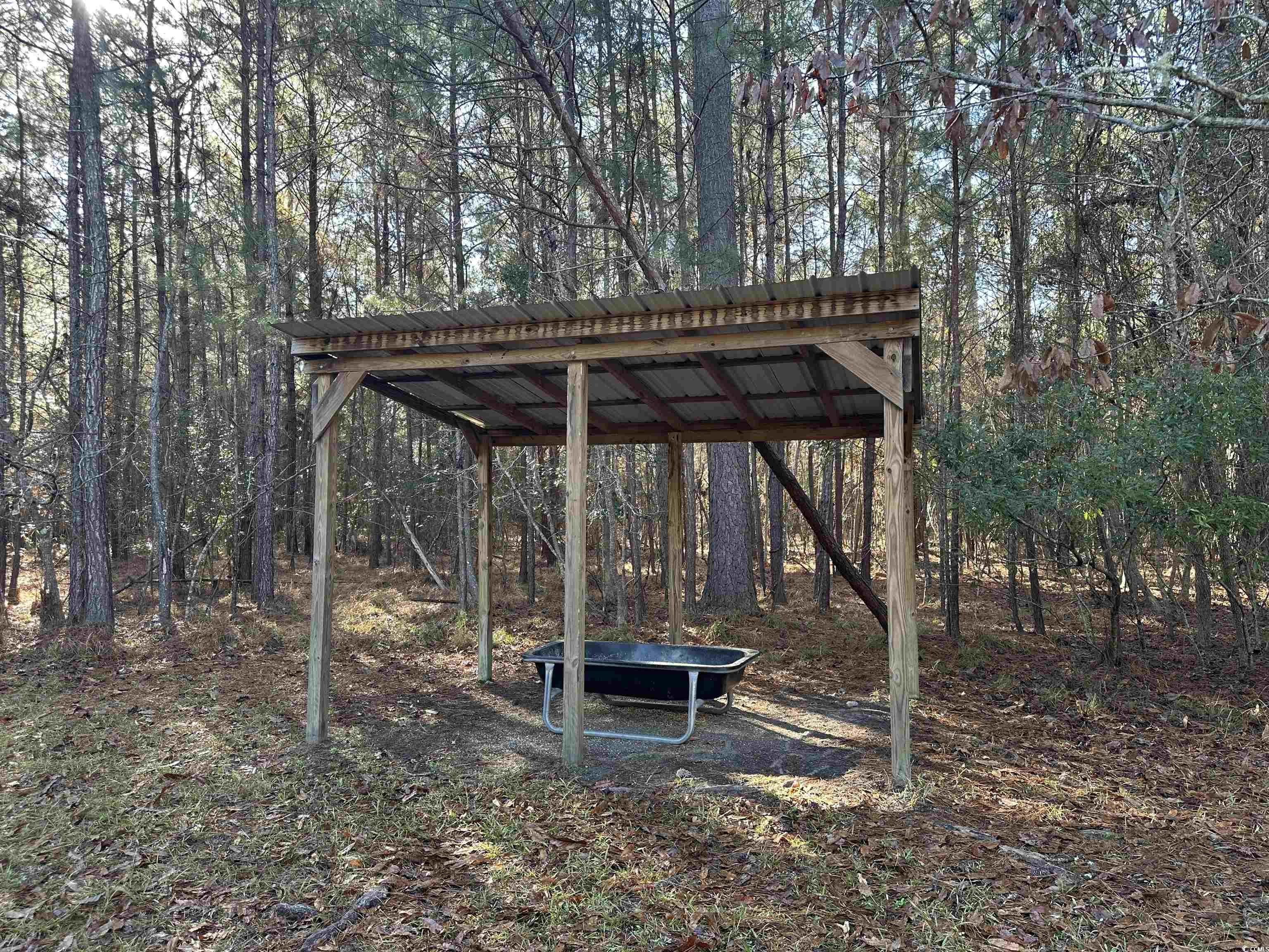 148 Acres-tbd Highway 521 Property Photo 5