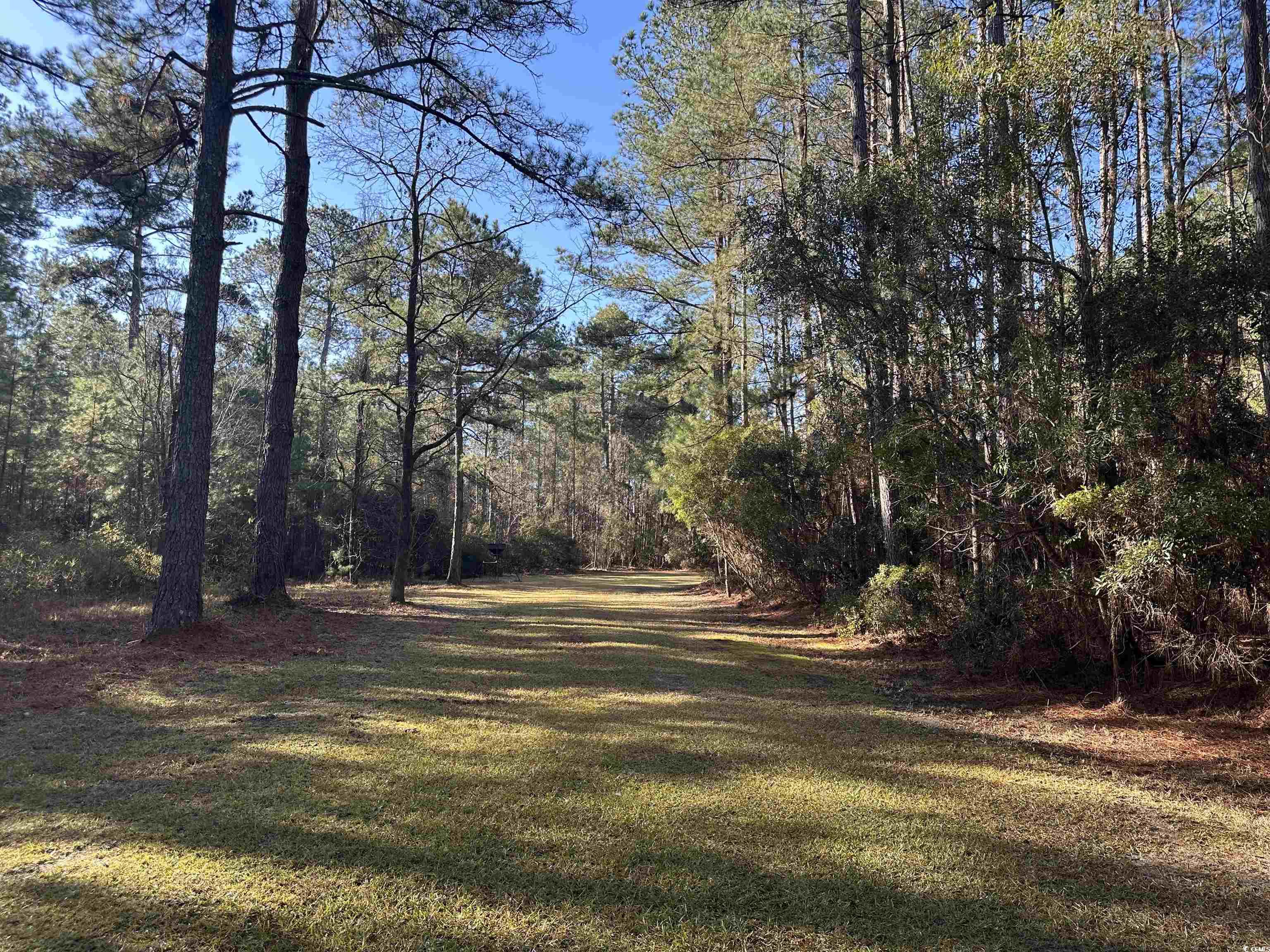 148 Acres-tbd Highway 521 Property Photo 6