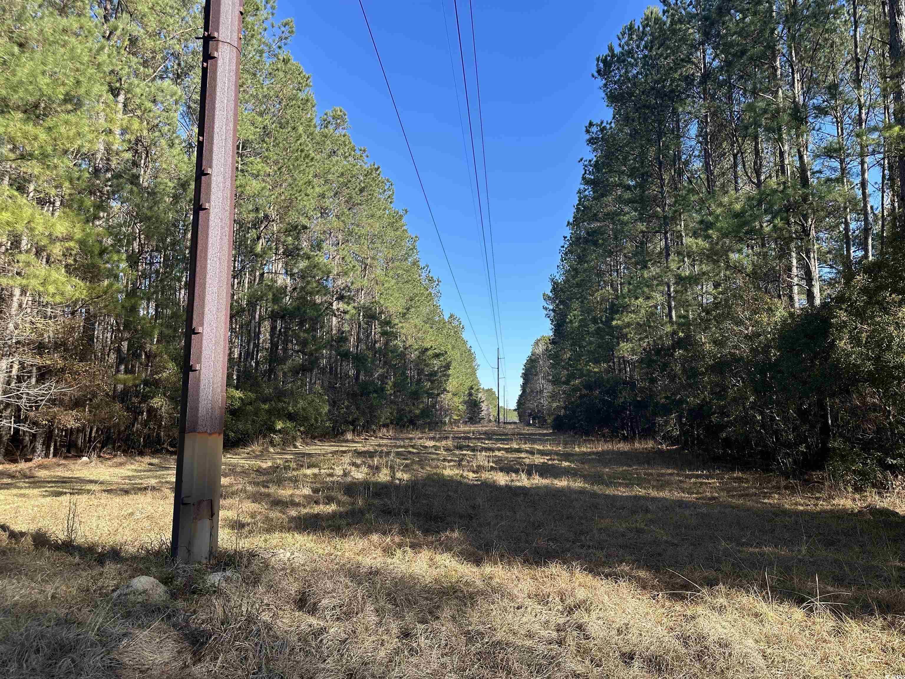 148 Acres-tbd Highway 521 Property Photo 7