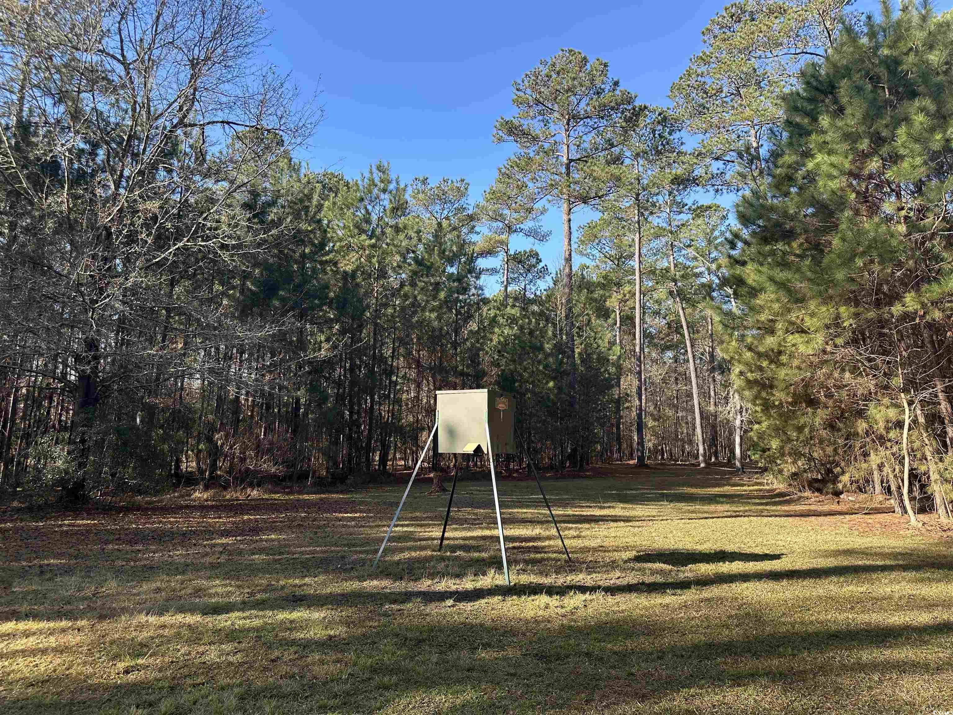 148 Acres-tbd Highway 521 Property Photo 8