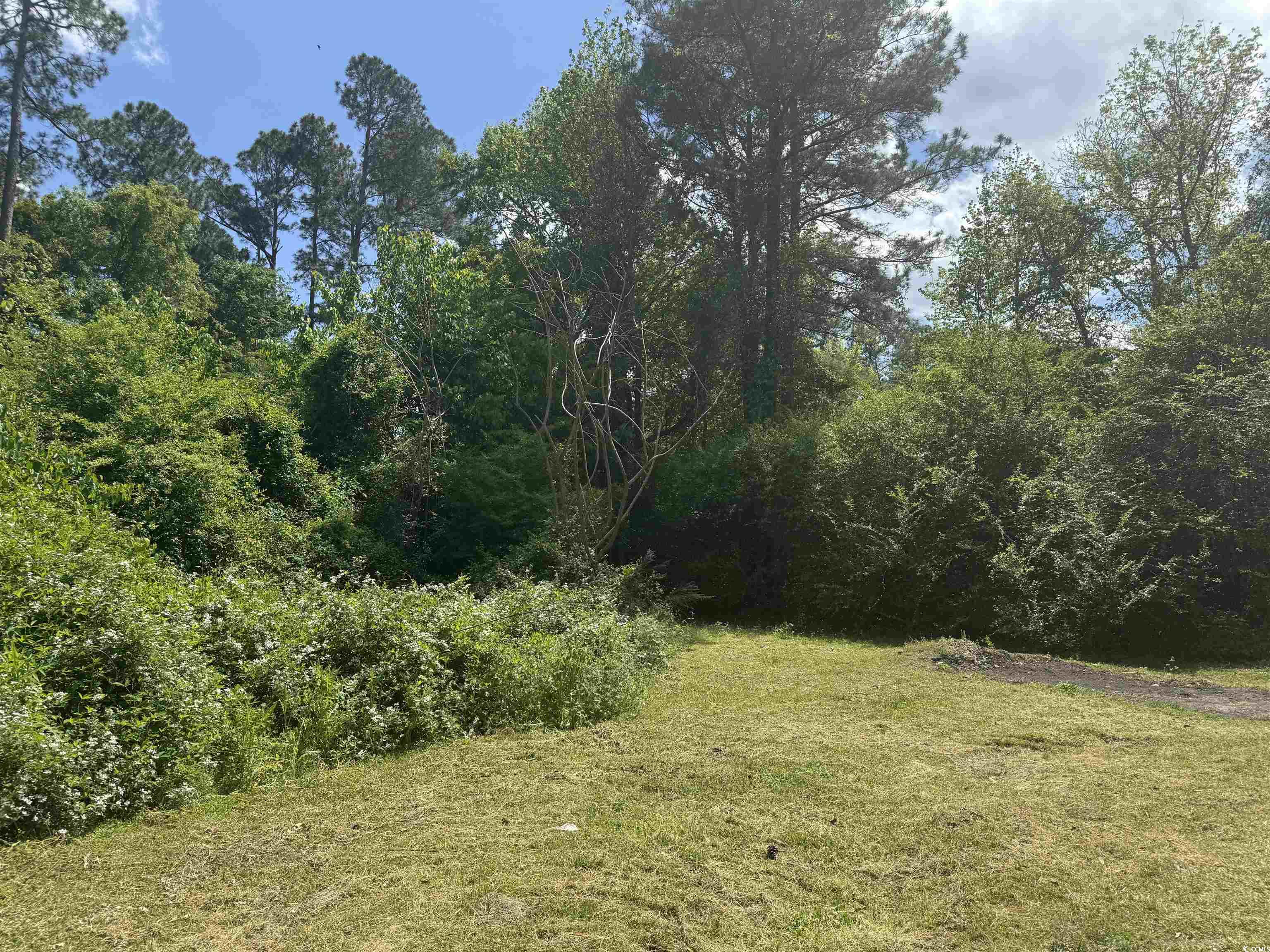 42 Hollywood Ave. Property Photo 2