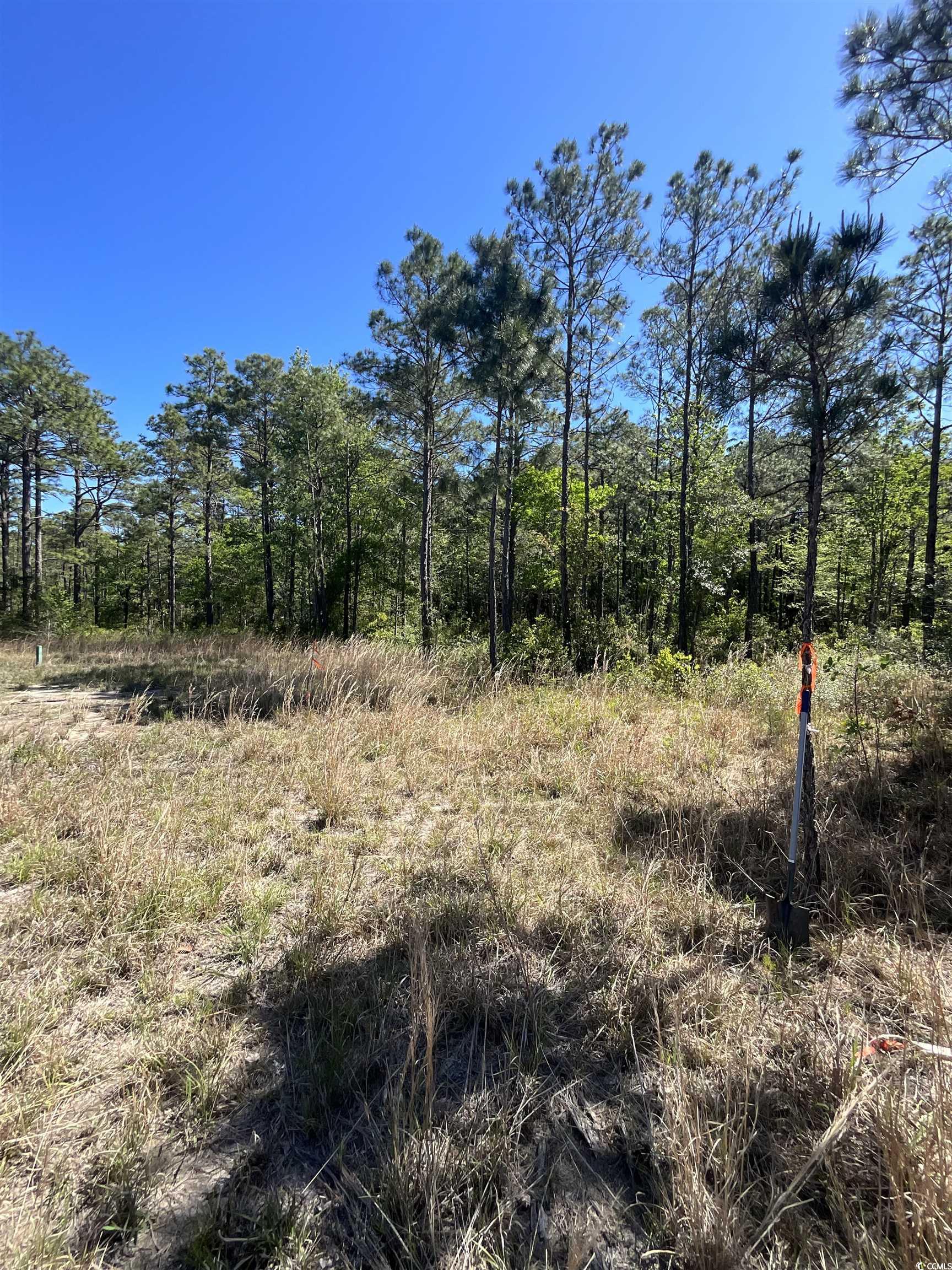9201 Freewoods Rd. Property Photo 11