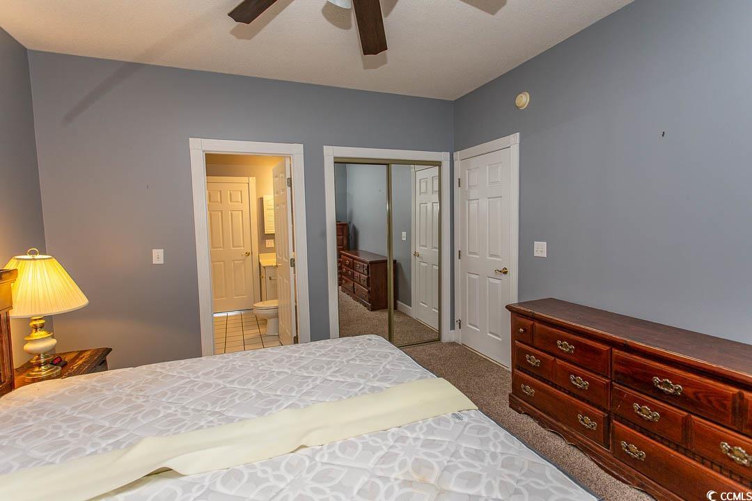 4823 Orchid Way Property Photo 24