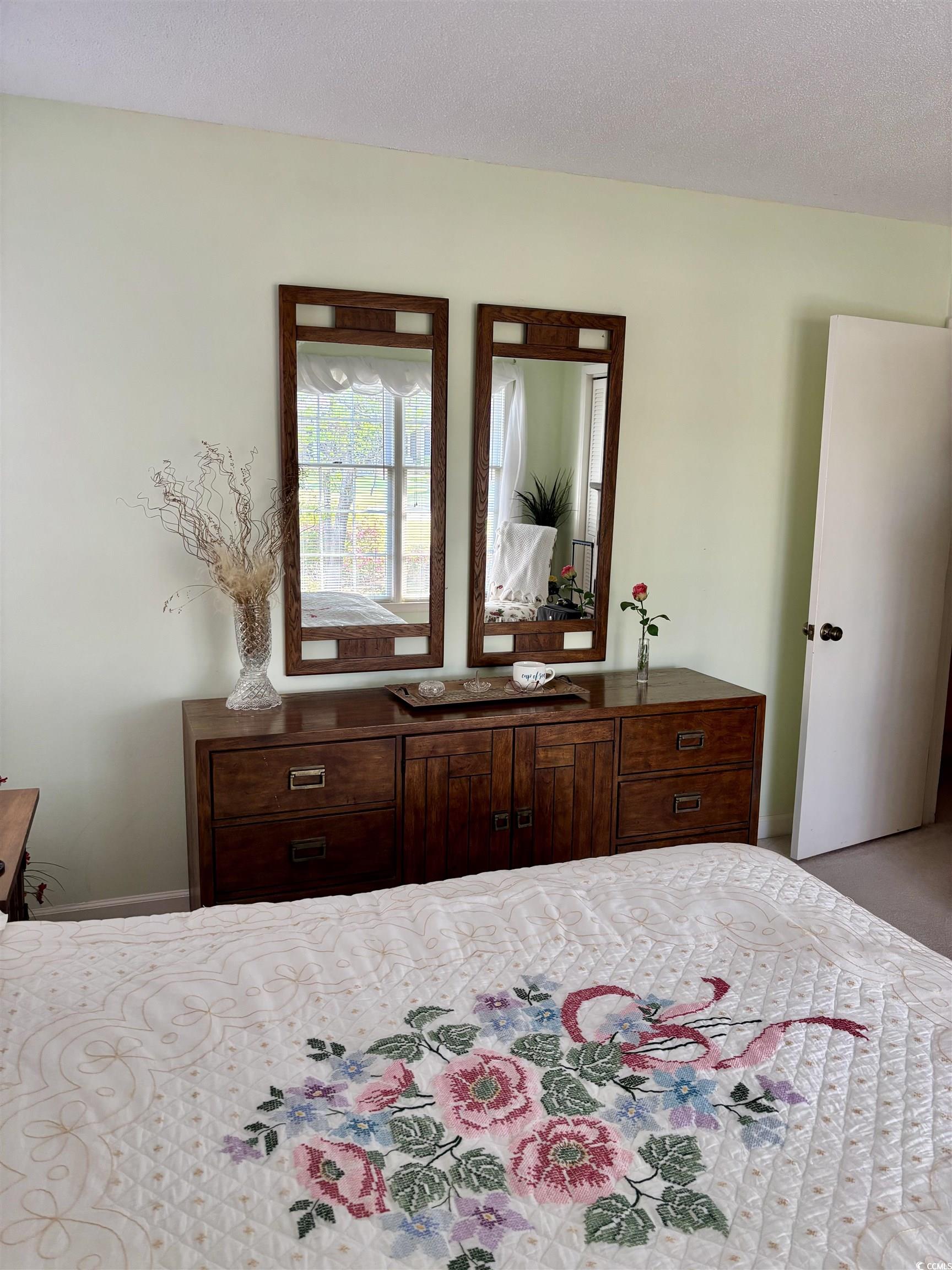 116 Green Lake Dr. Property Photo 23