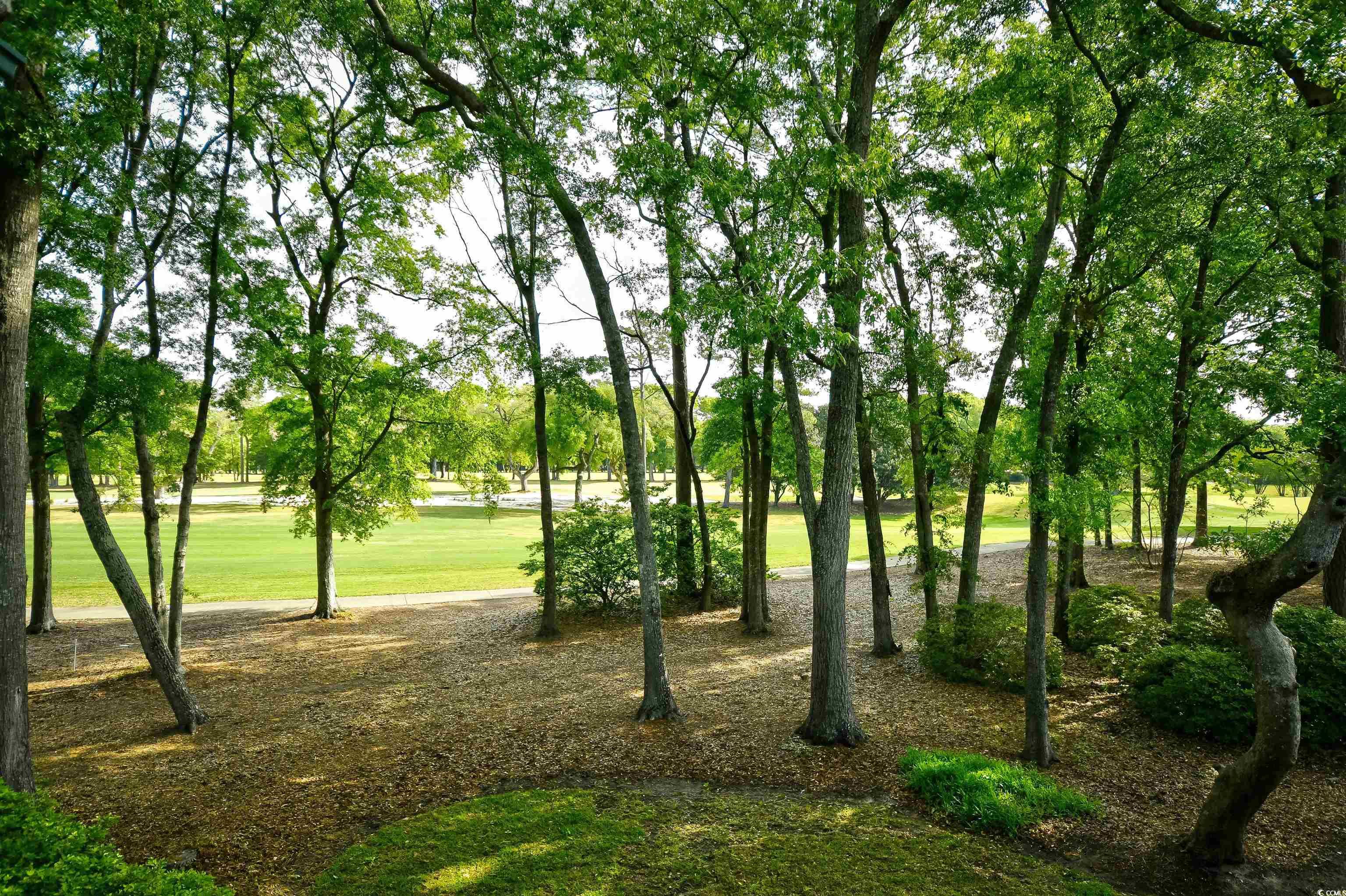 273 Golden Bear Dr. Property Photo 33