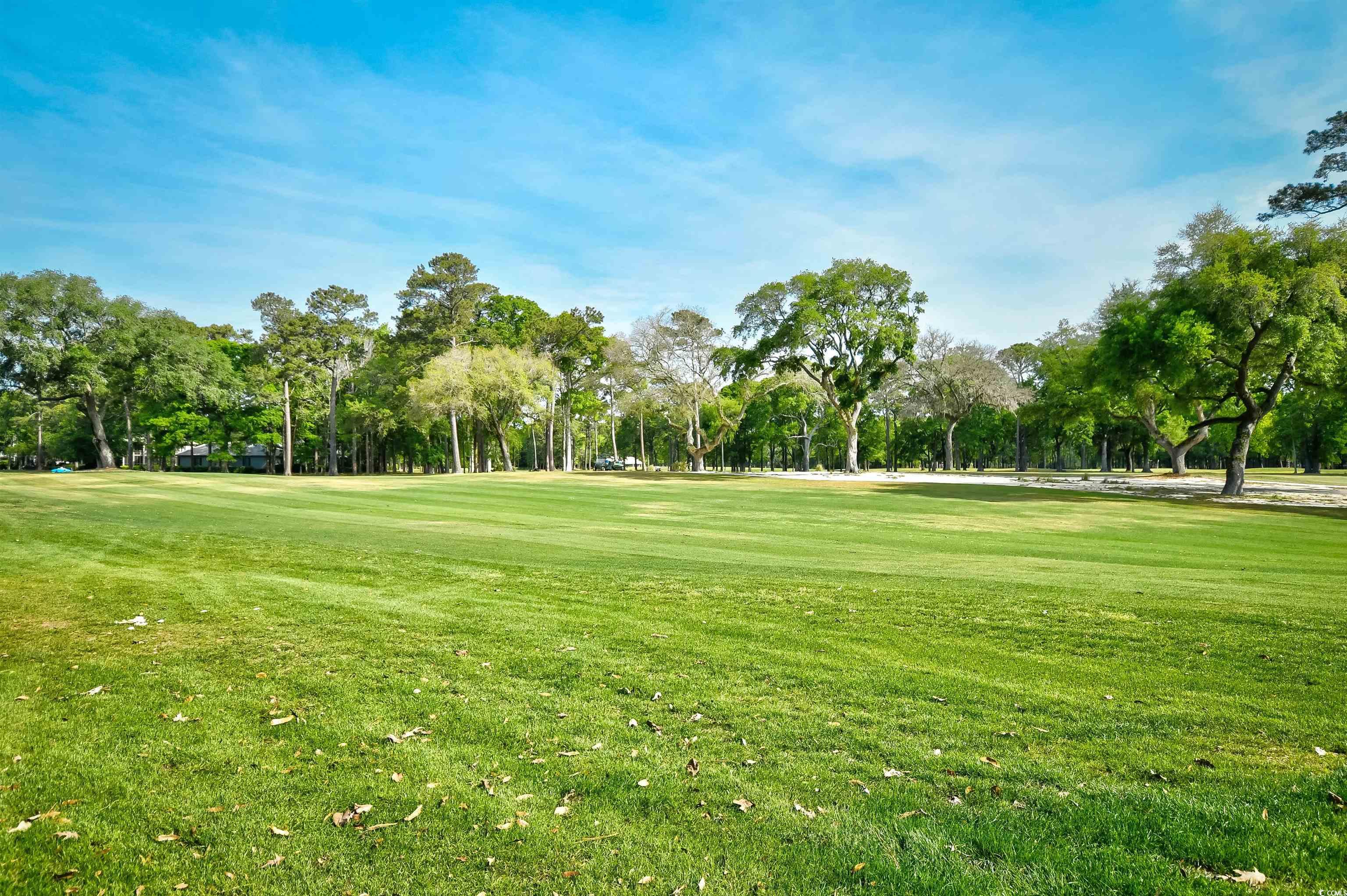 273 Golden Bear Dr. Property Photo 35