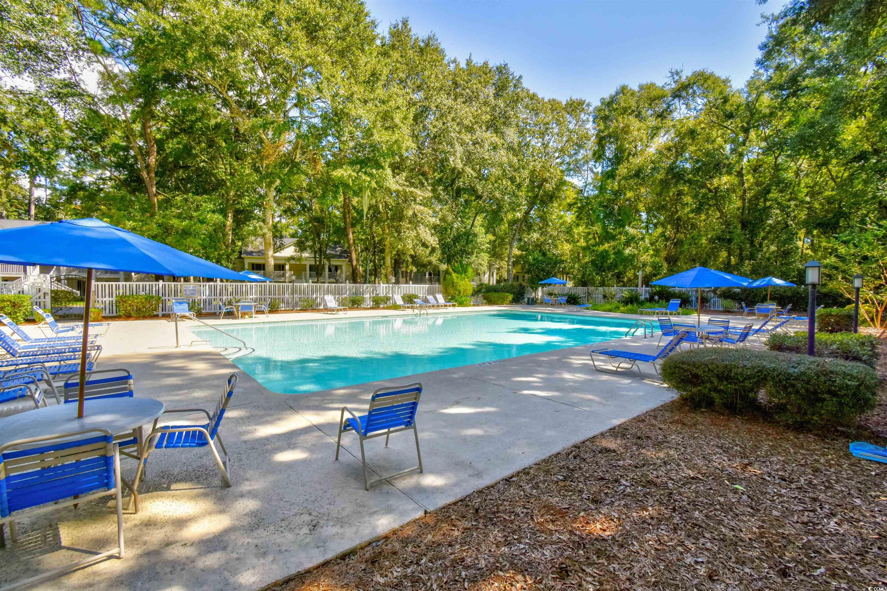 273 Golden Bear Dr. Property Photo 38