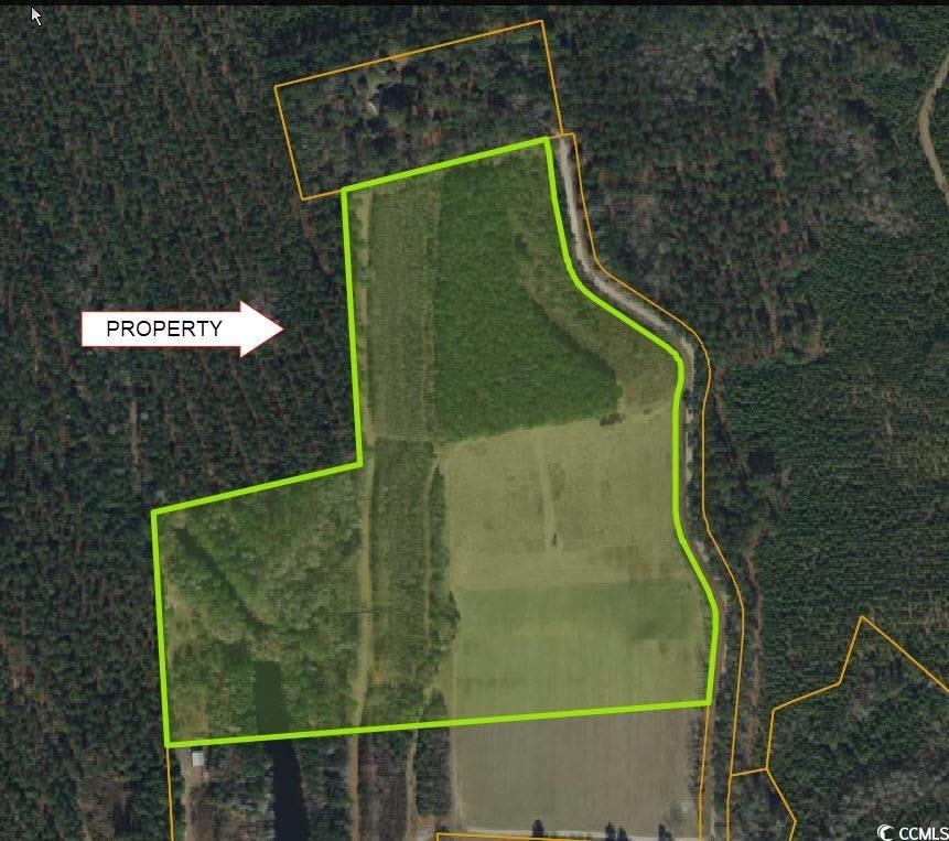 Tbd Womack Rd. Property Photo