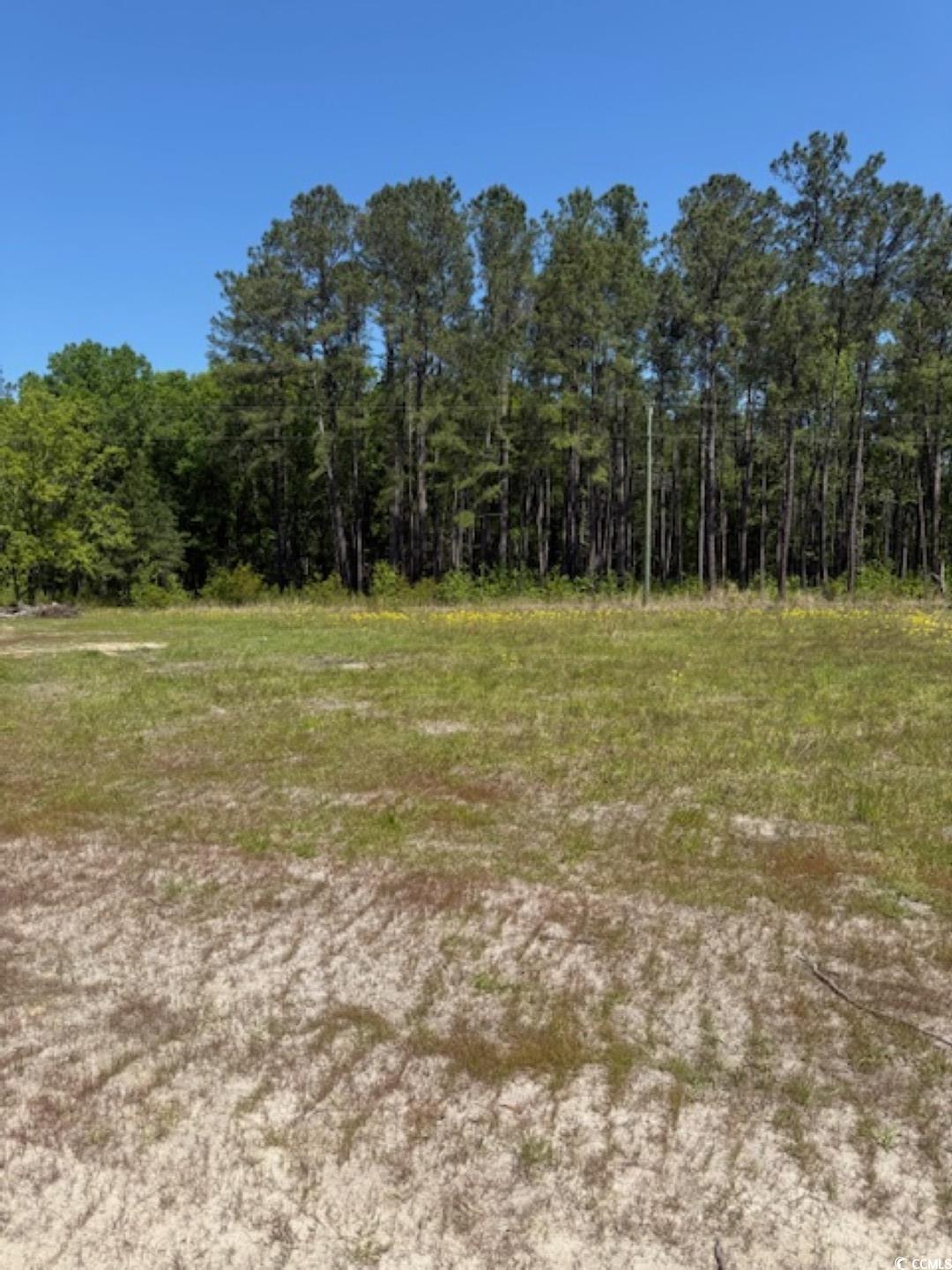 Tbd Johnson Rd. Property Photo