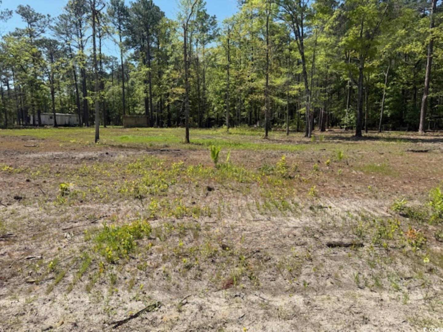Tbd Johnson Rd. Property Photo 5