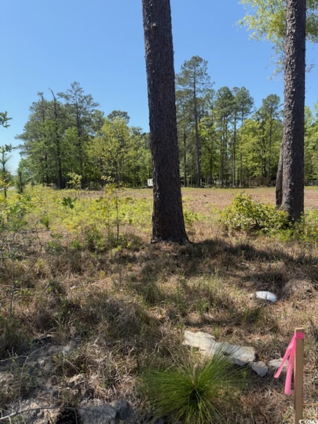 Tbd Johnson Rd. Property Photo 8