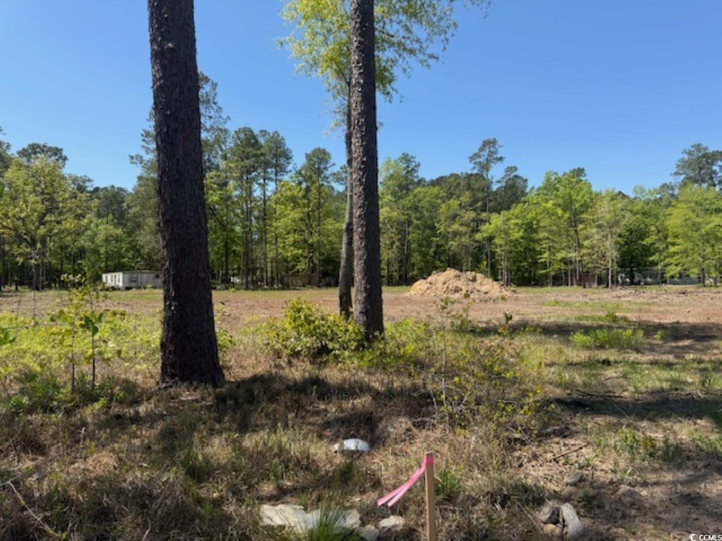 Tbd Johnson Rd. Property Photo 9