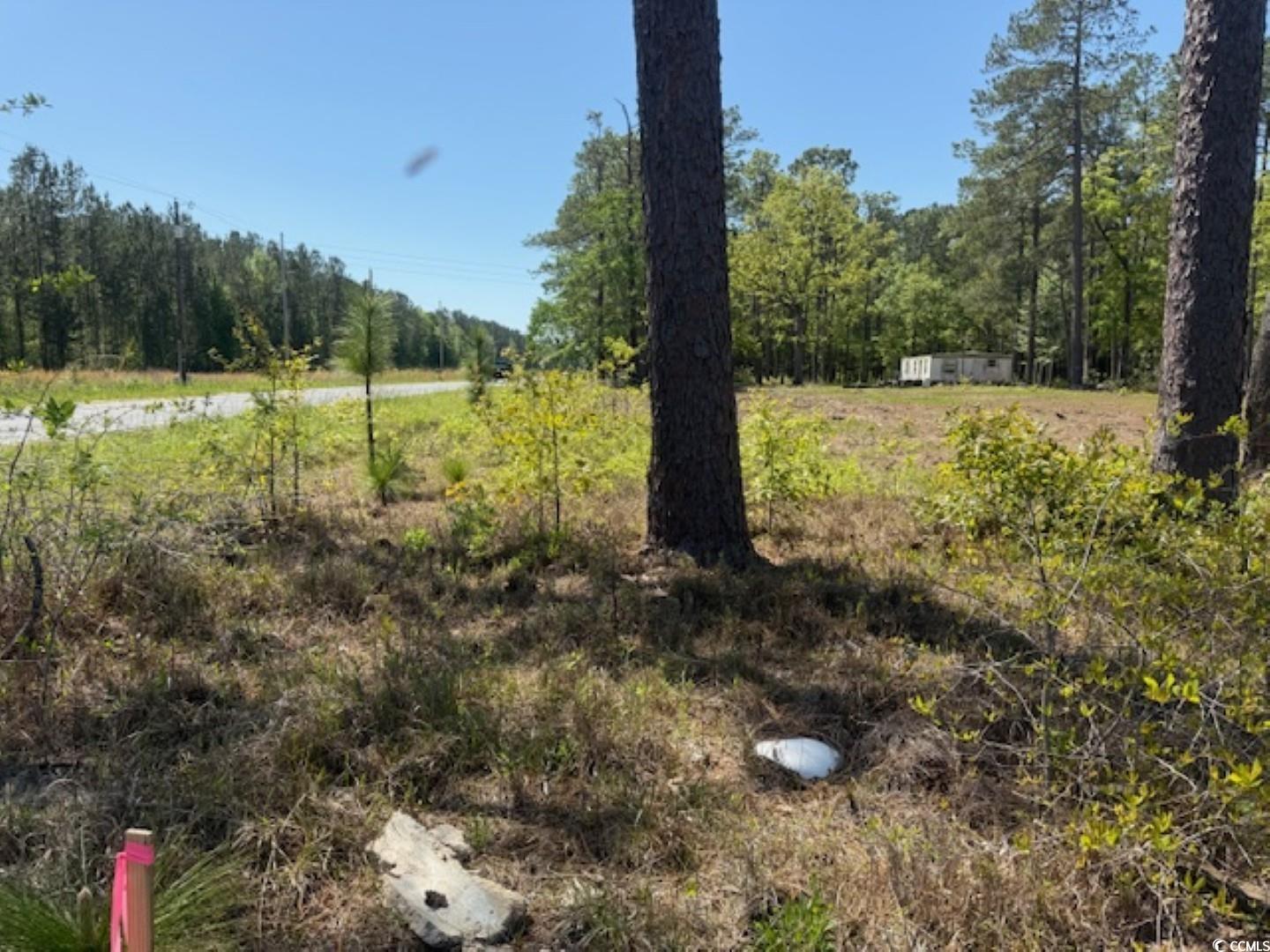 Tbd Johnson Rd. Property Photo 11