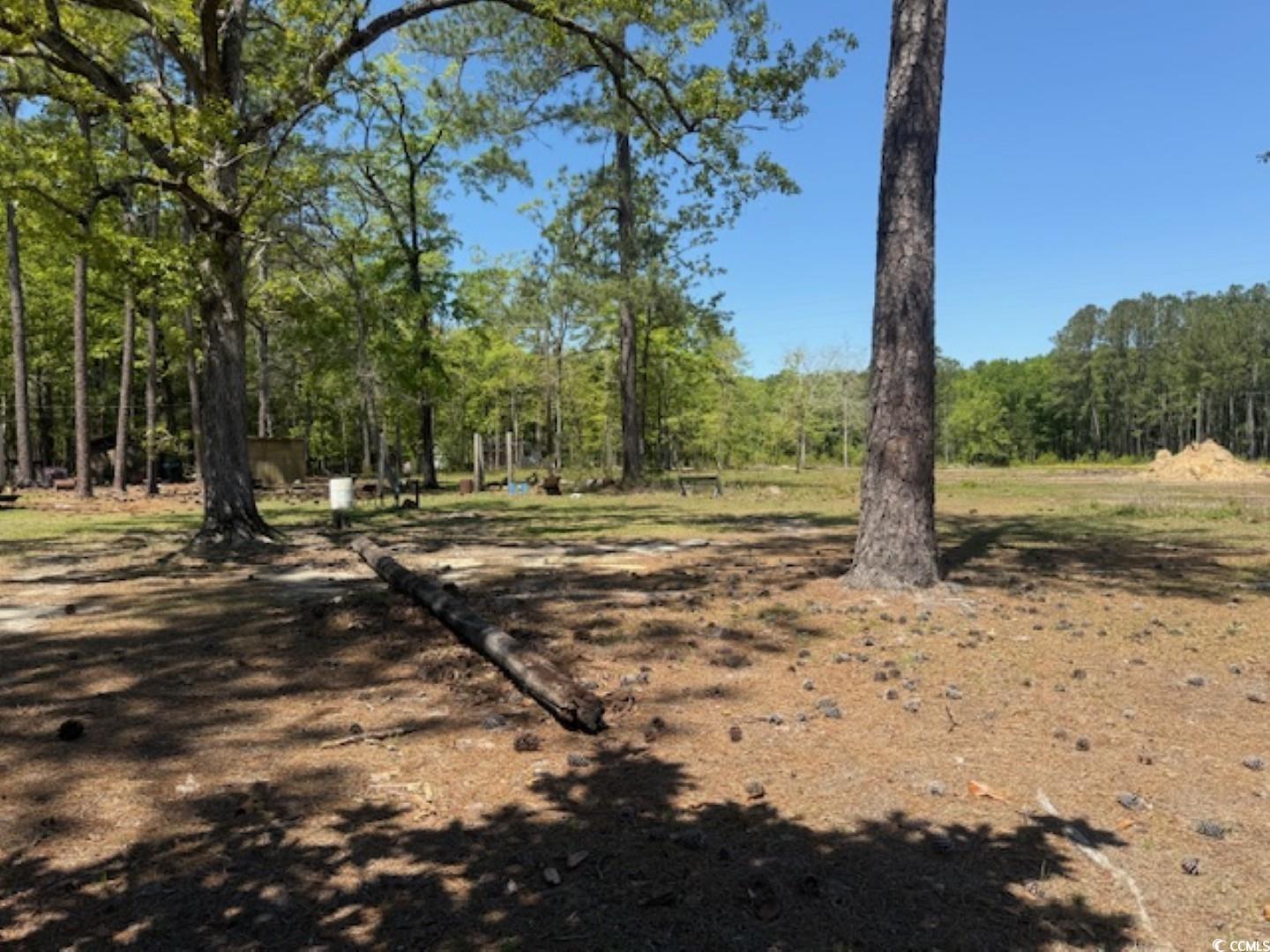 Tbd Johnson Rd. Property Photo 14