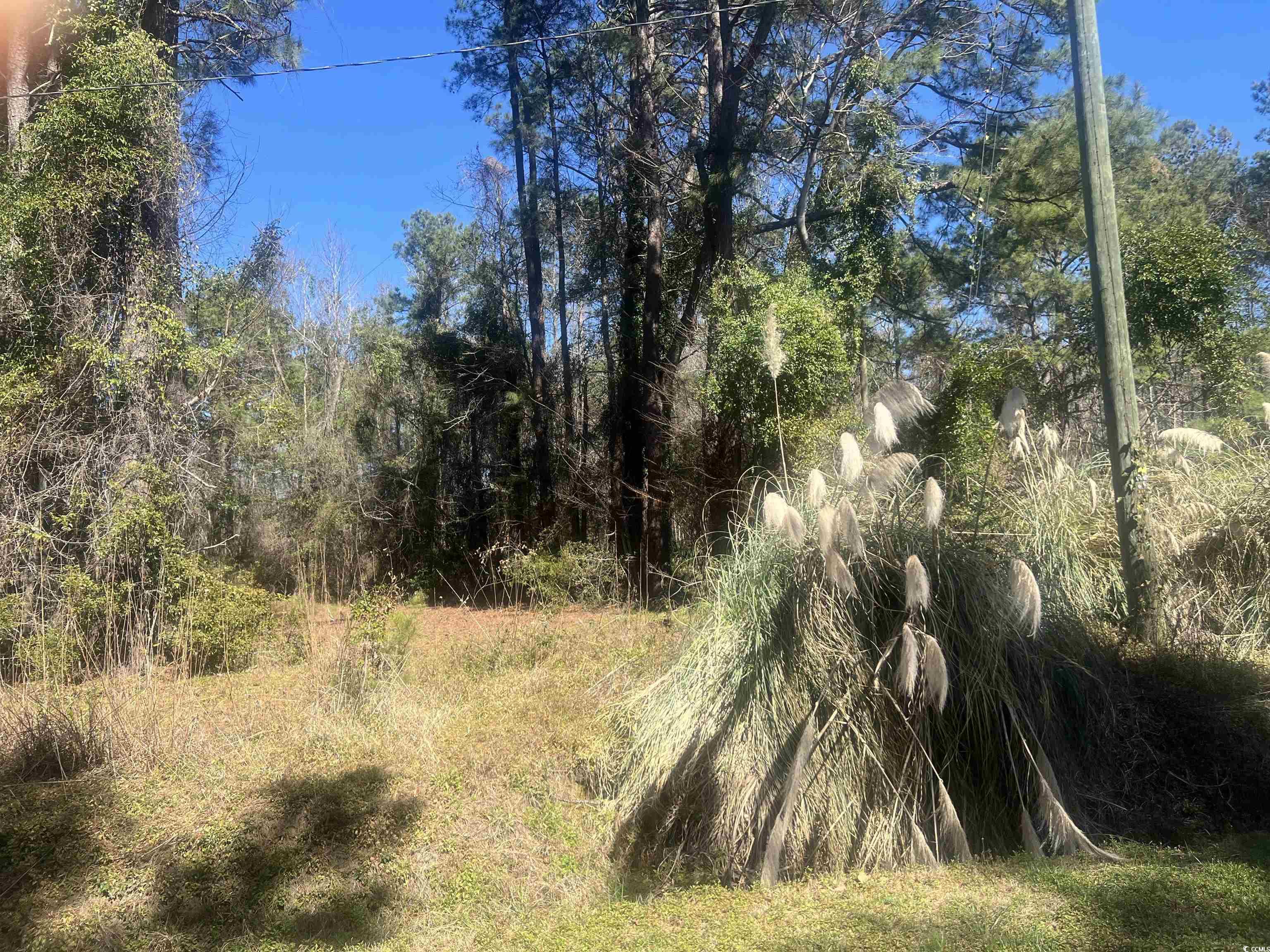 Tbd Tillmond Dr. Property Photo