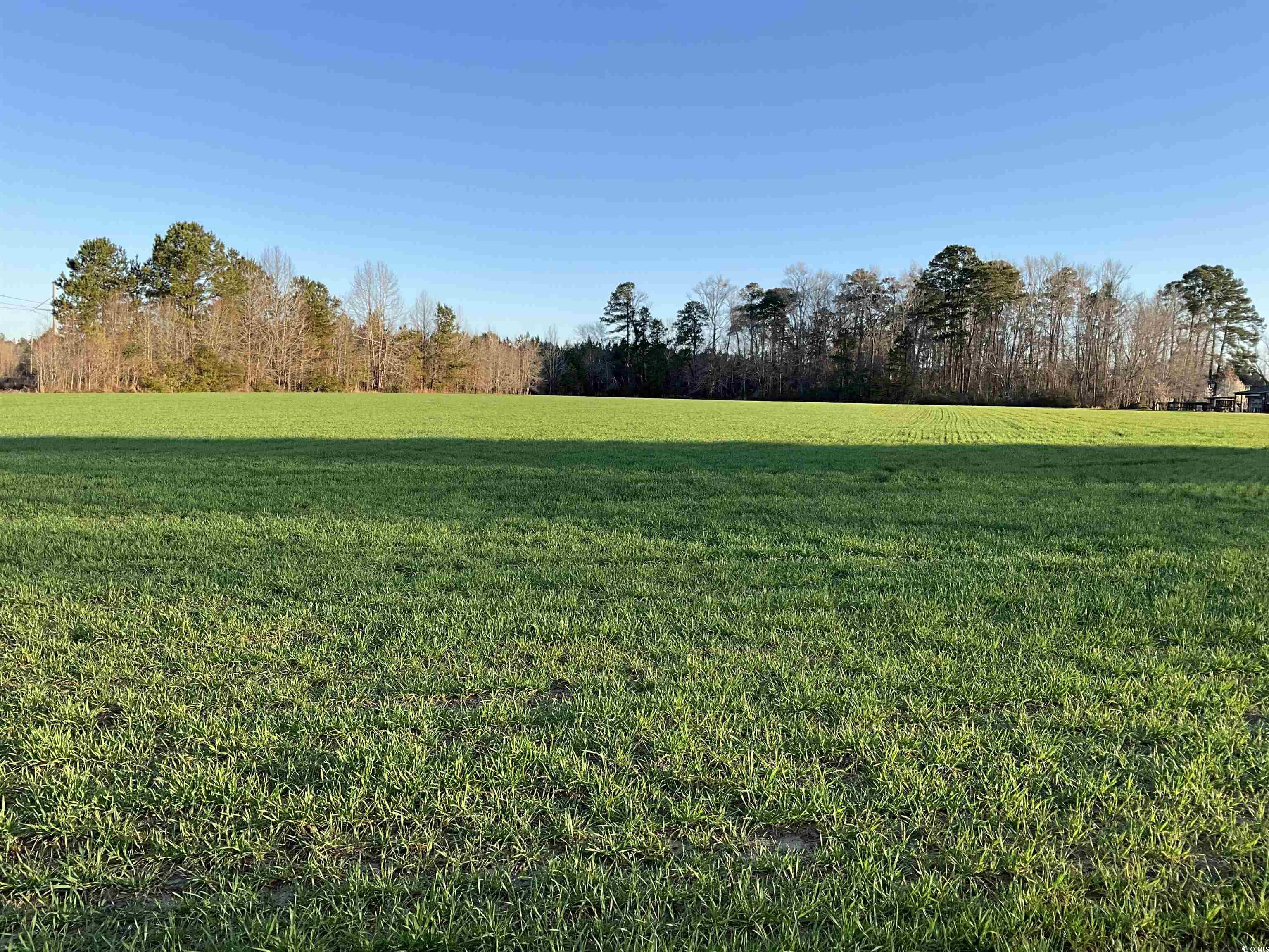 Dillon County Real Estate Listings Main Image