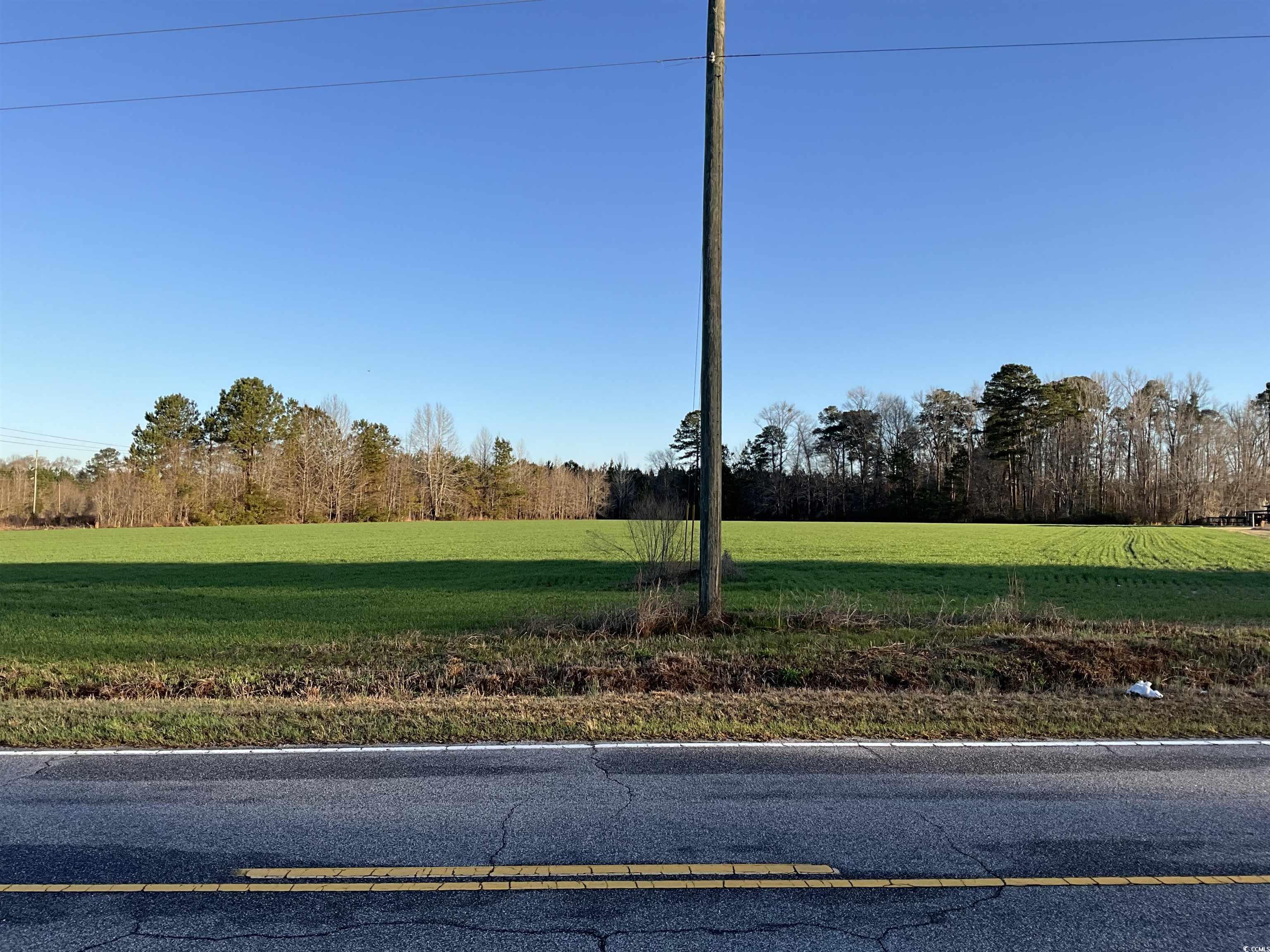 Tbd Carroll Rd. Property Photo 2