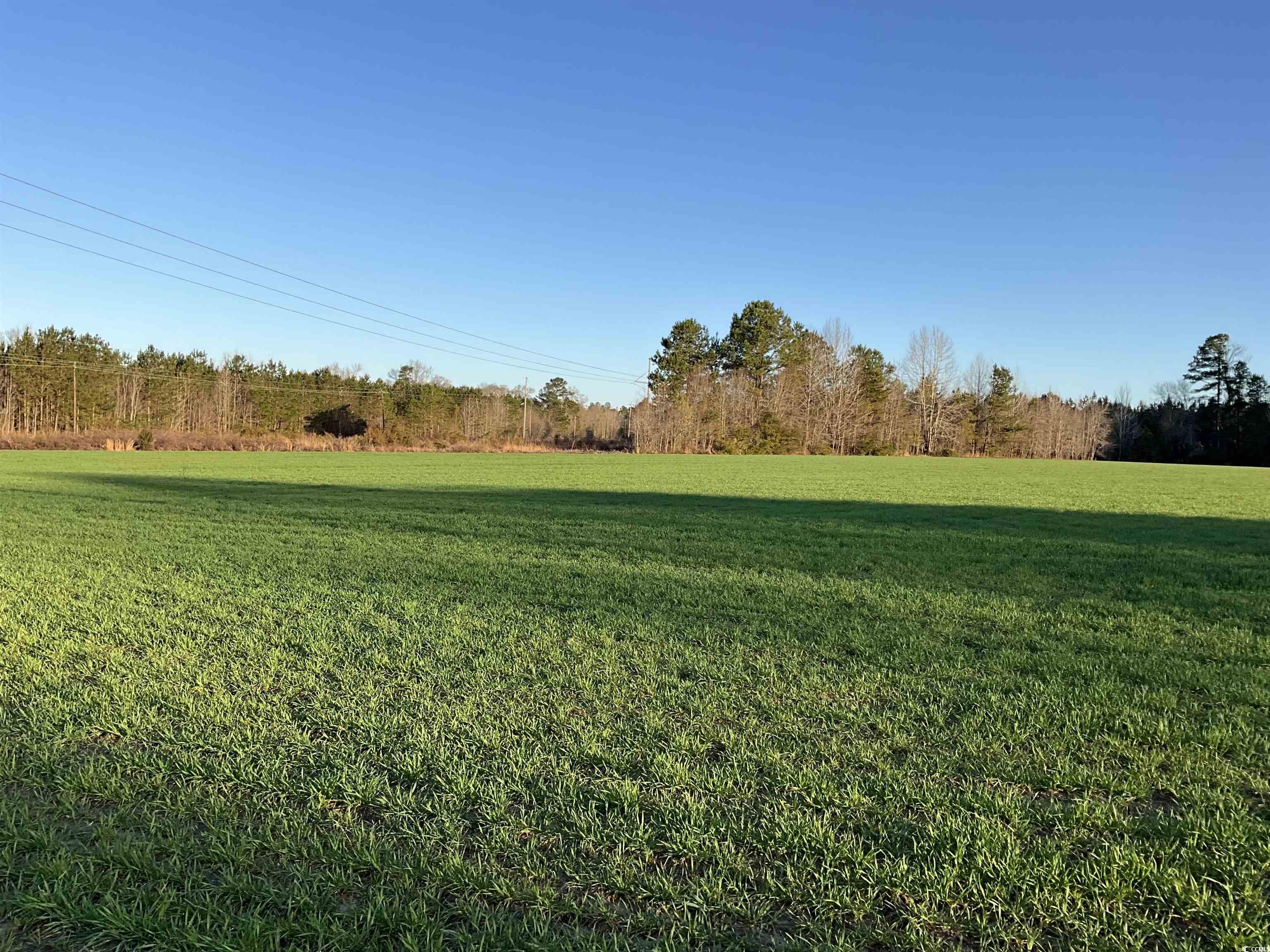 Tbd Carroll Rd. Property Photo 3
