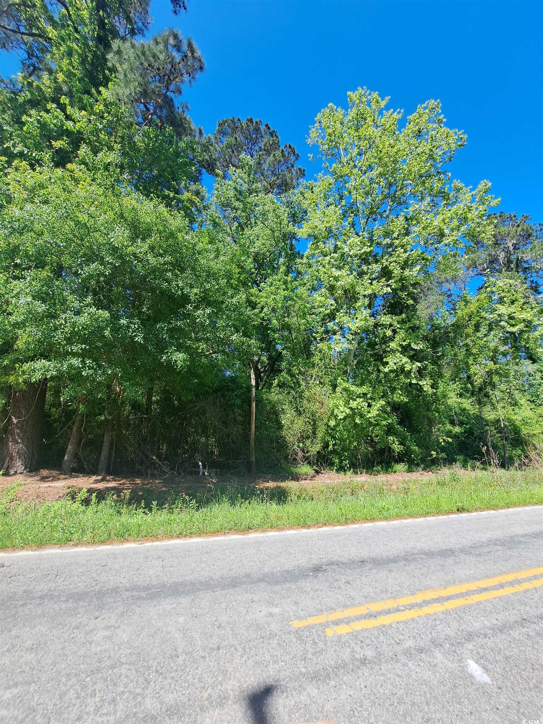 Tbd Bucksport Rd. Property Photo
