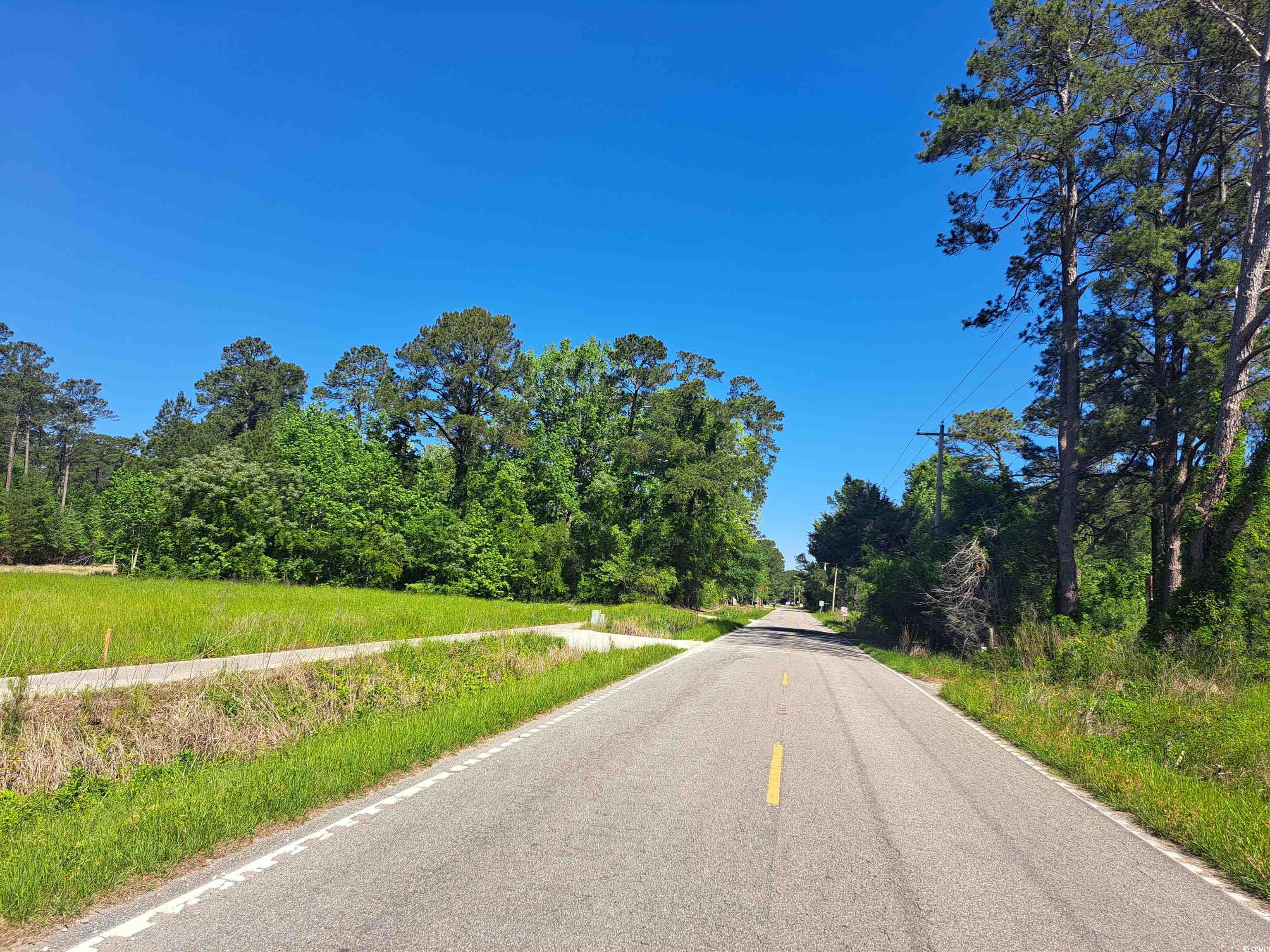 Tbd Bucksport Rd. Property Photo 3