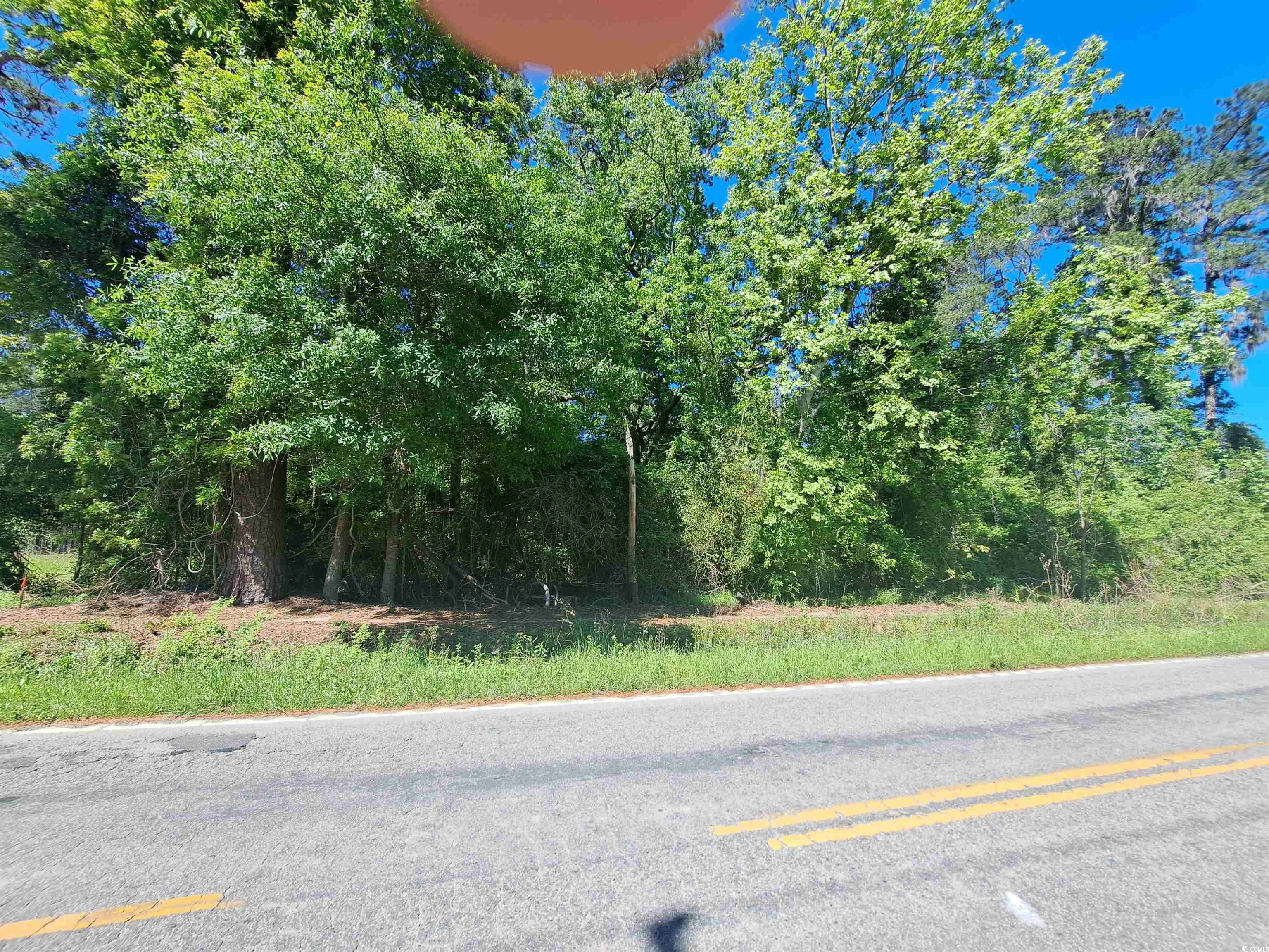 Tbd Bucksport Rd. Property Photo 4