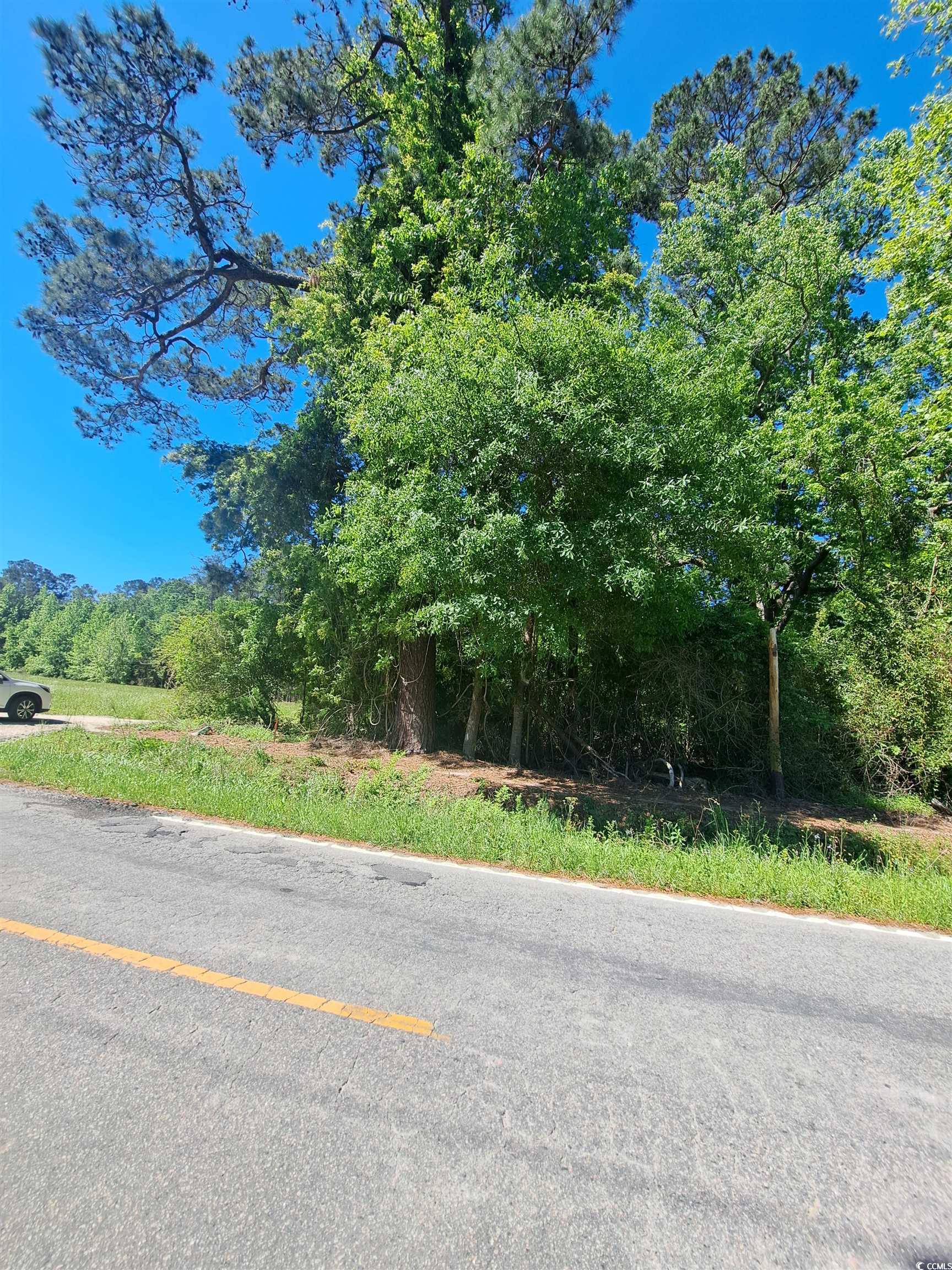 Tbd Bucksport Rd. Property Photo 5
