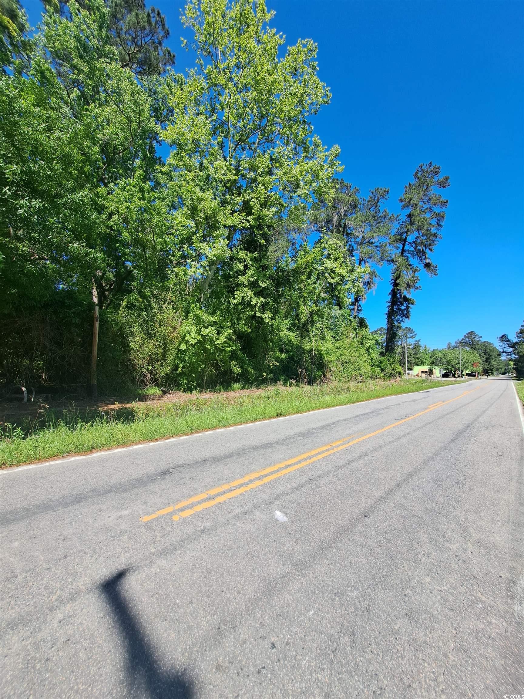 Tbd Bucksport Rd. Property Photo 6