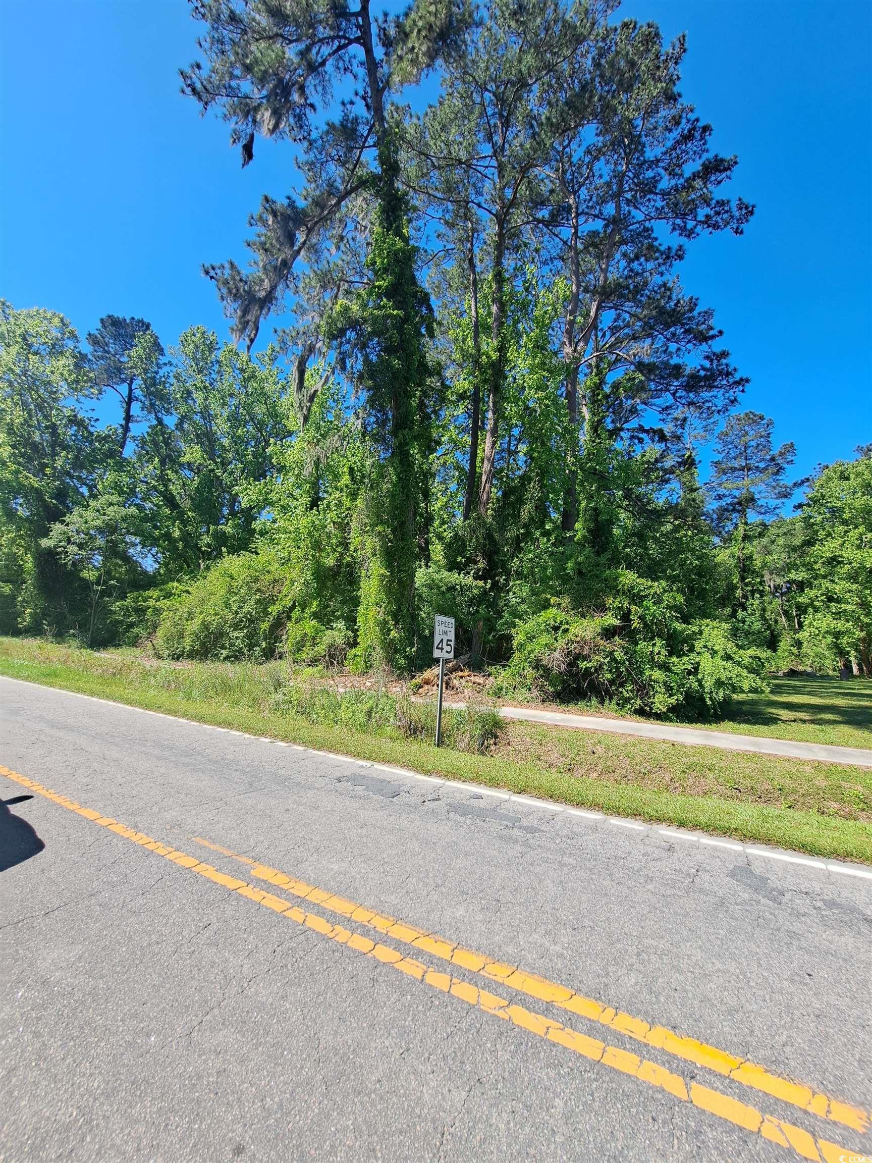 Tbd Bucksport Rd. Property Photo 7