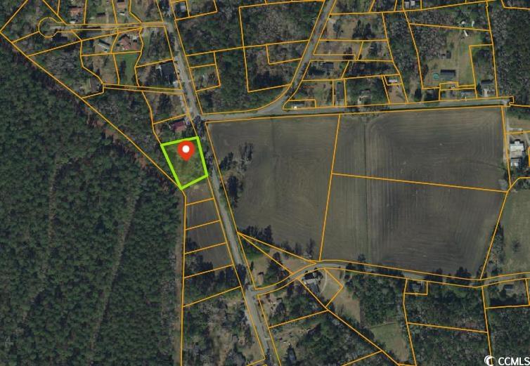 Tbd Bucksport Rd. Property Photo 9