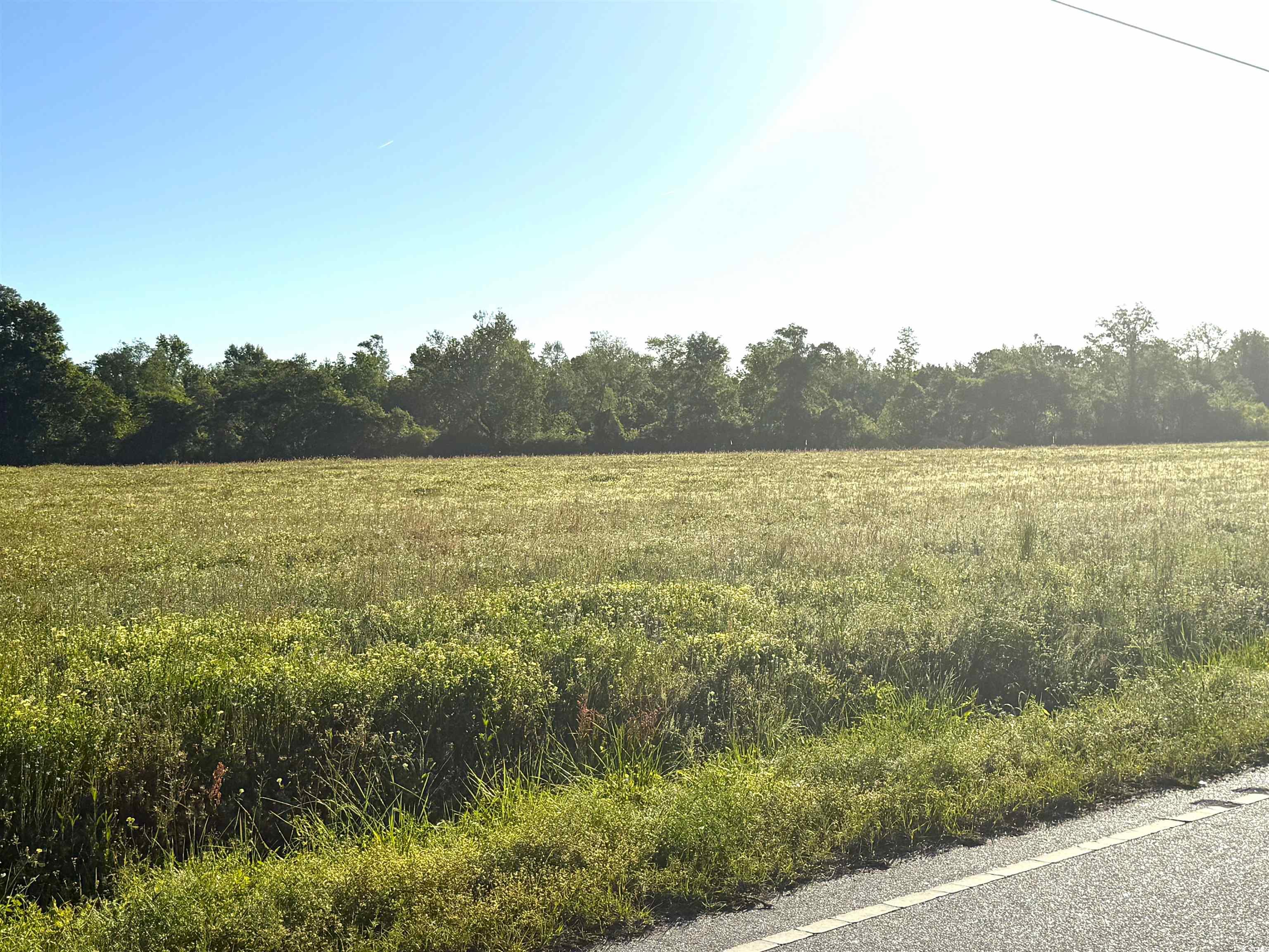 Tract 4 Borkowitz Rd. Property Photo 3