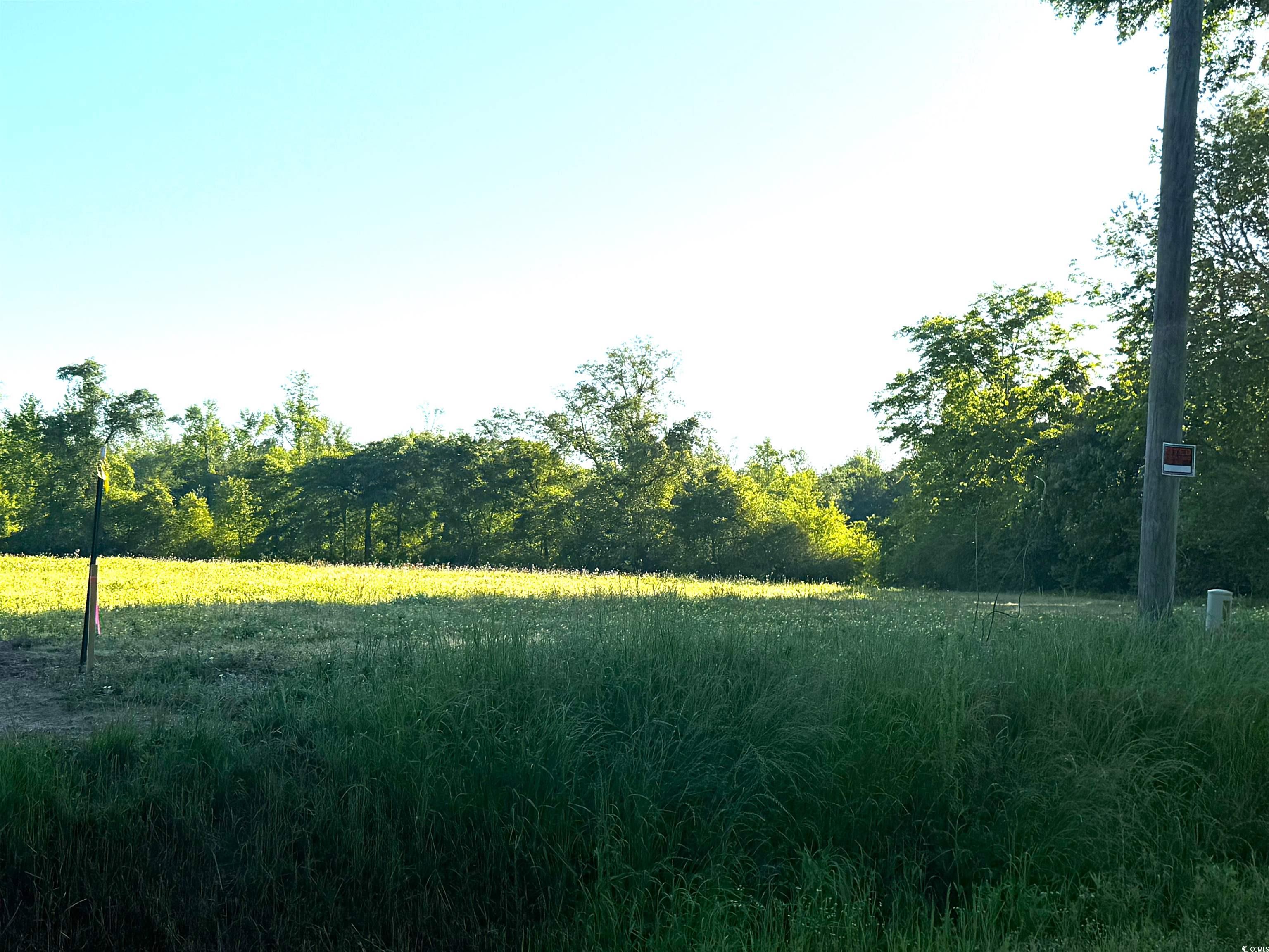 Tract 6 Borkowitz Rd. Property Photo 3