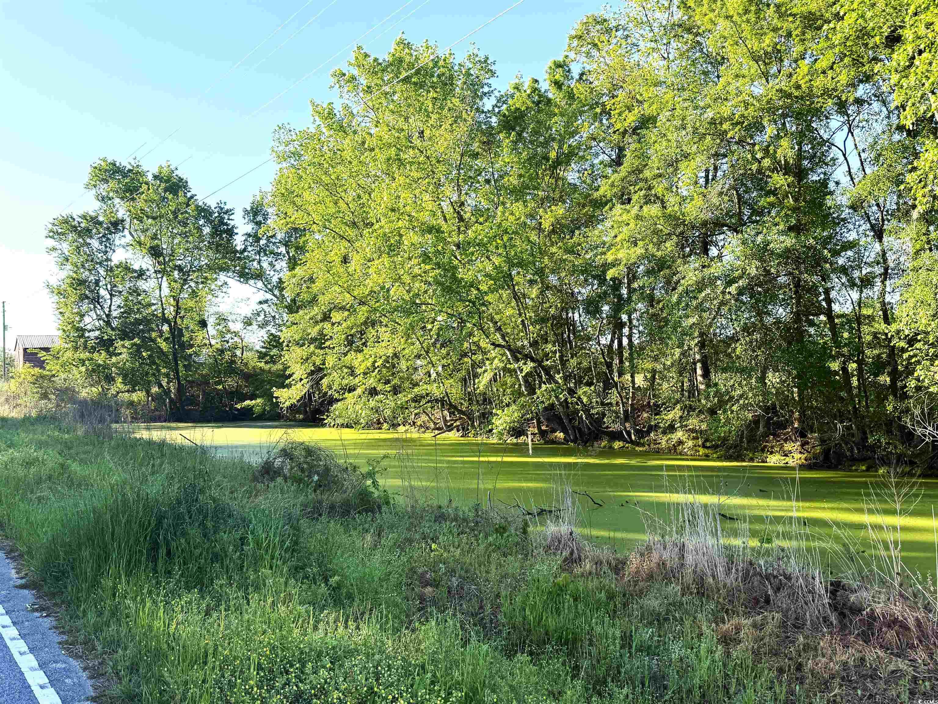 Tbd Red Barn Tr Borkowitz Rd. Property Photo 7