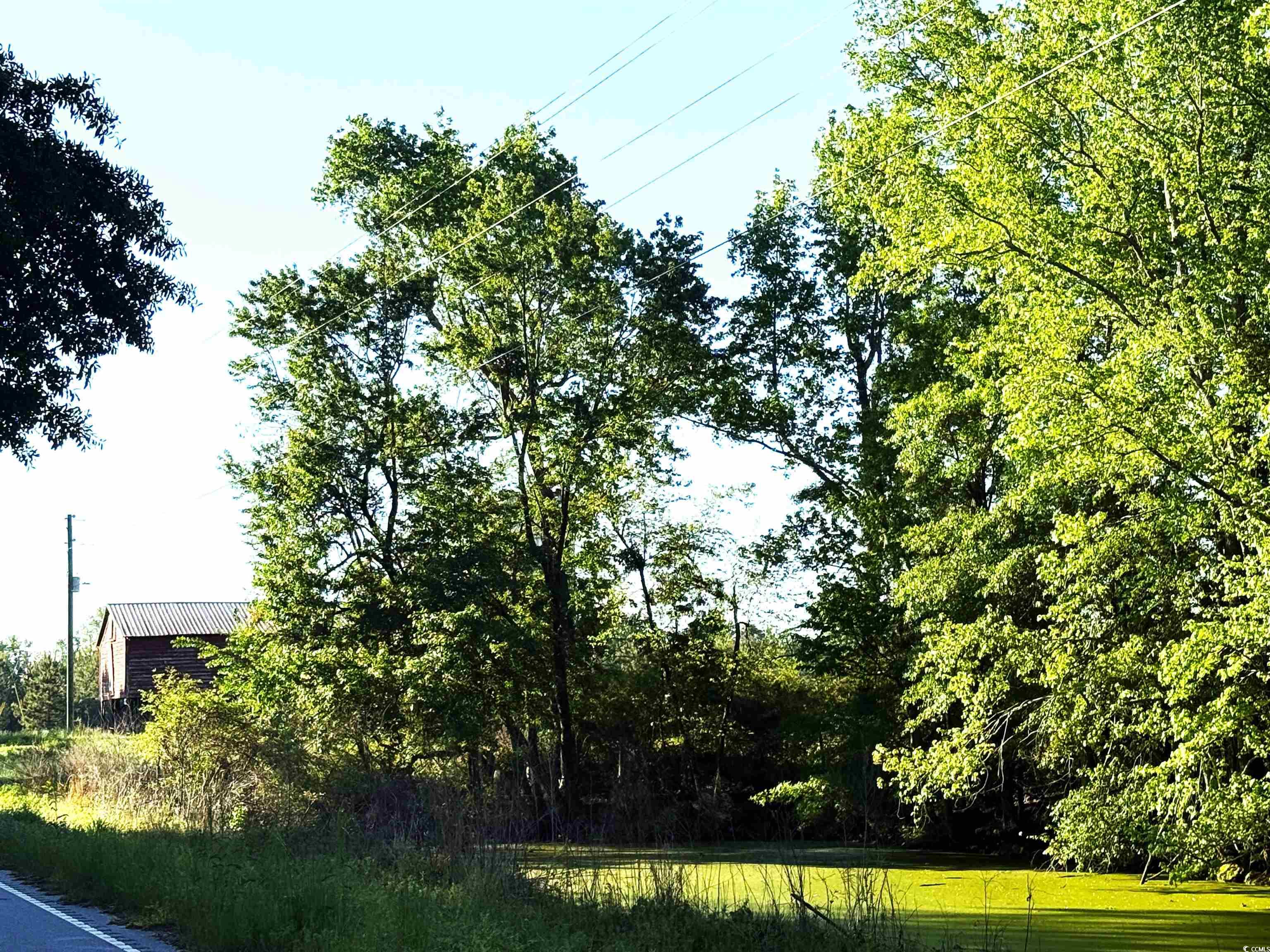 Tbd Red Barn Tr Borkowitz Rd. Property Photo 9