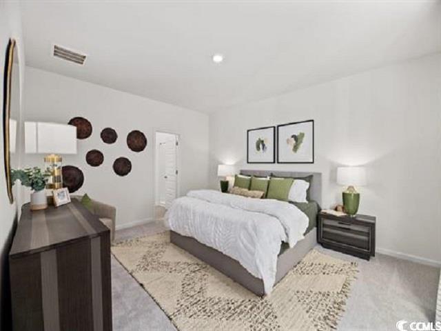 135 Warner Crossing Way Property Photo 11