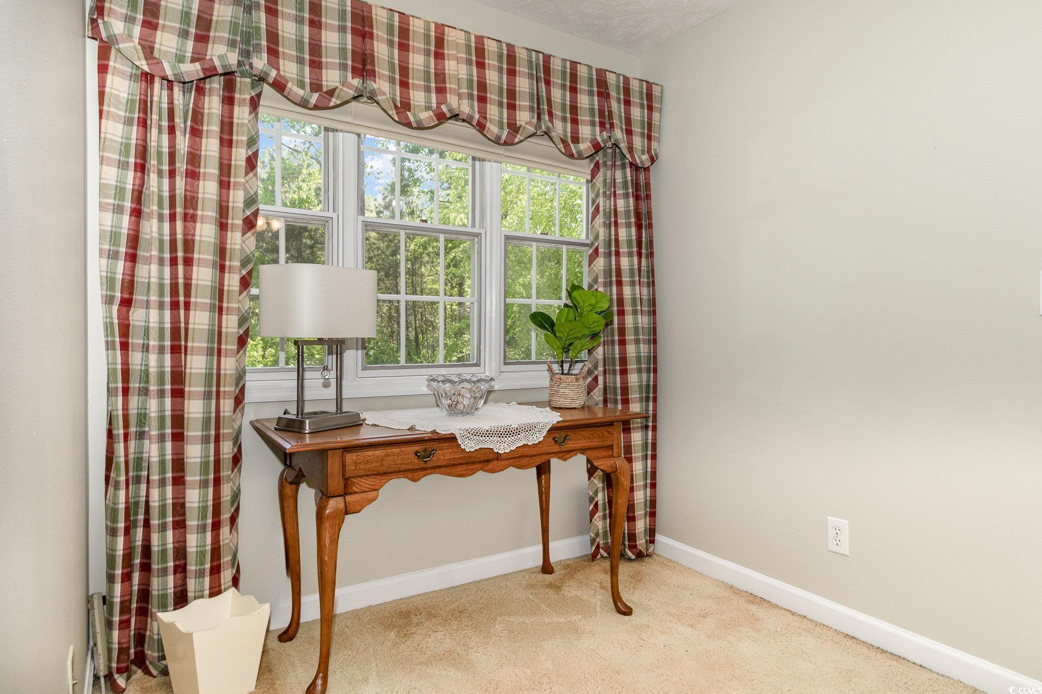 124 Windmeadows Dr. Property Photo 23