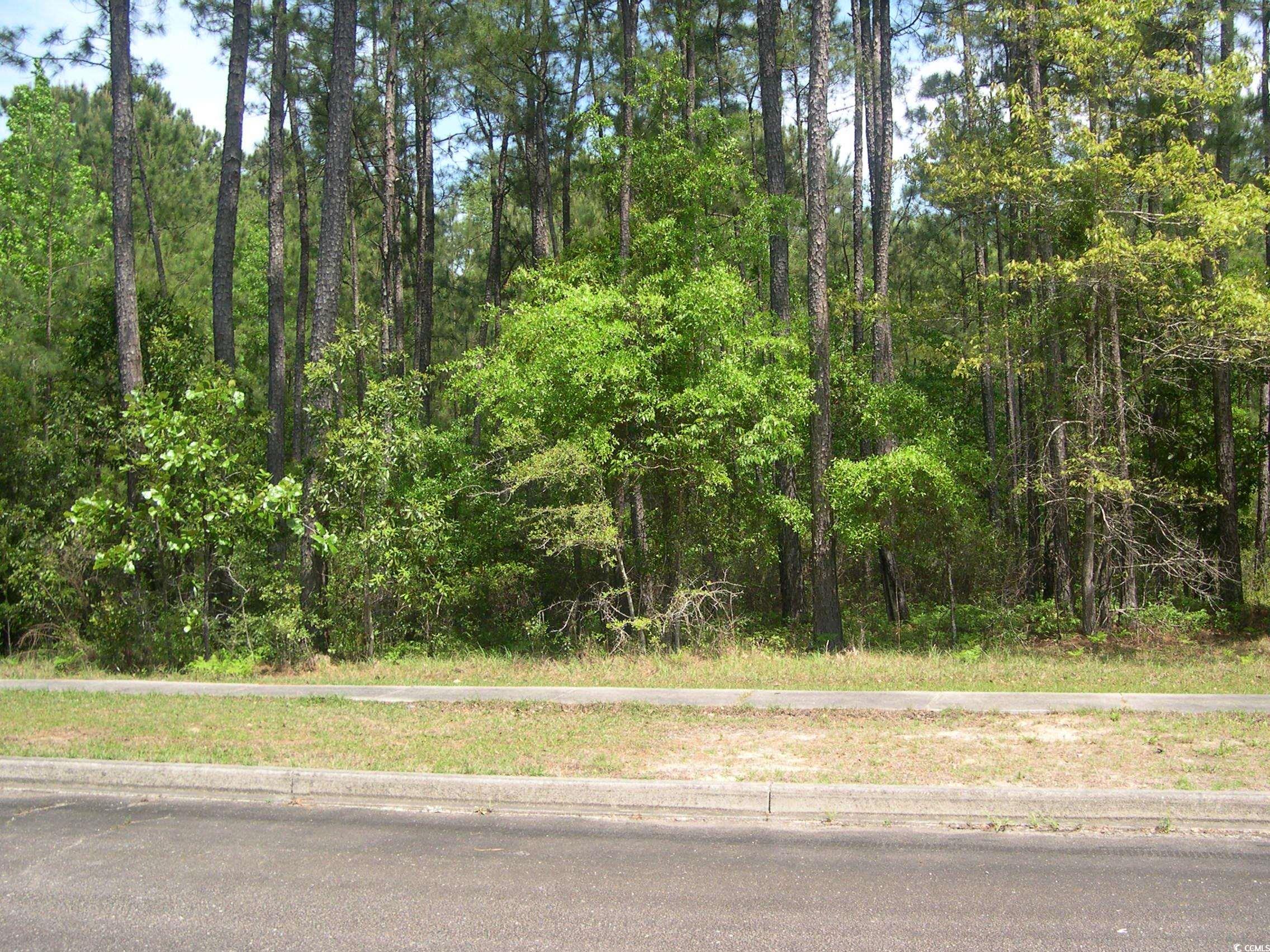 103 Pineberry Dr. Property Photo