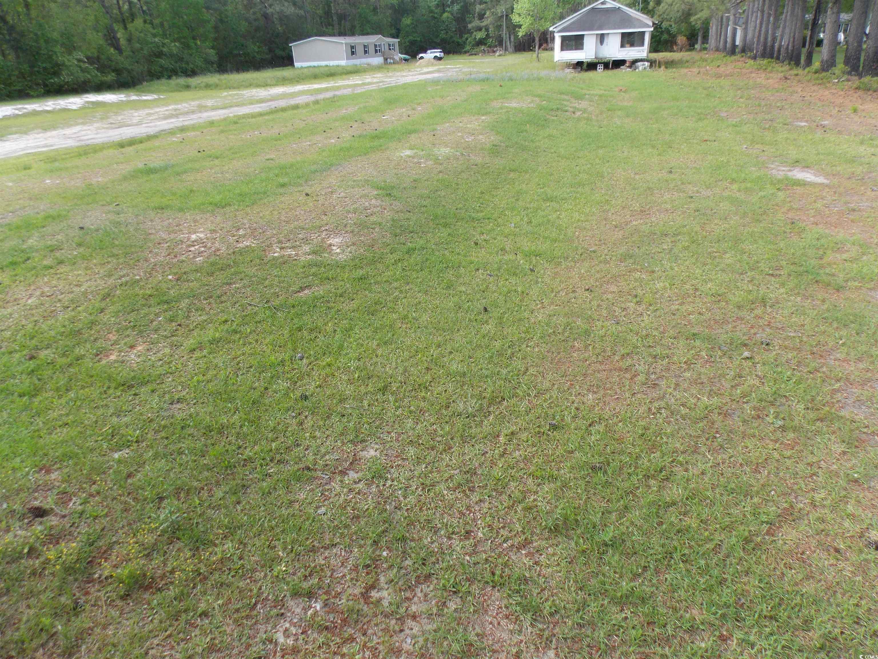1465 Dirty Branch Rd. Property Photo 27