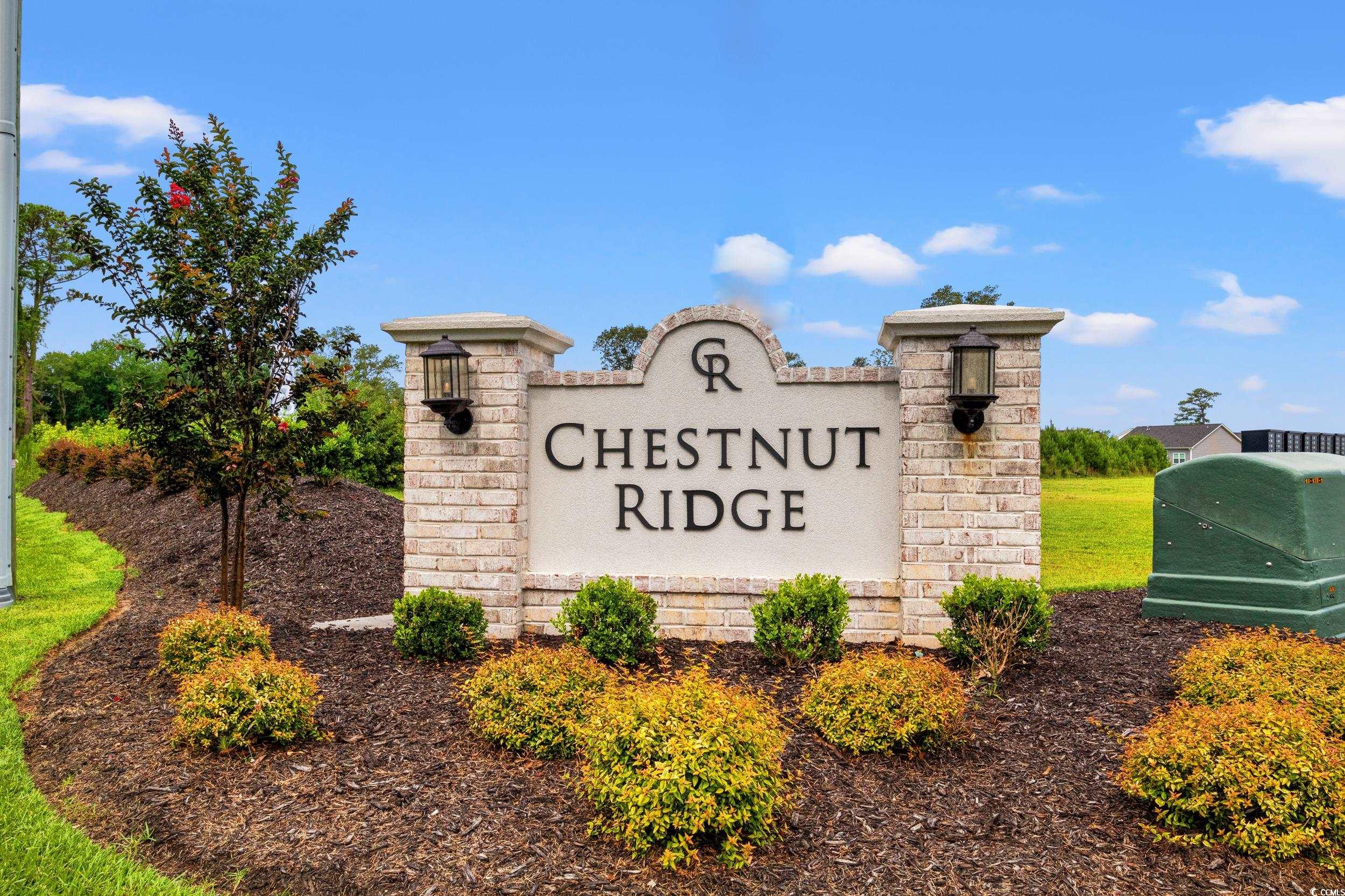 116 Old Chimney Ln Property Photo 22